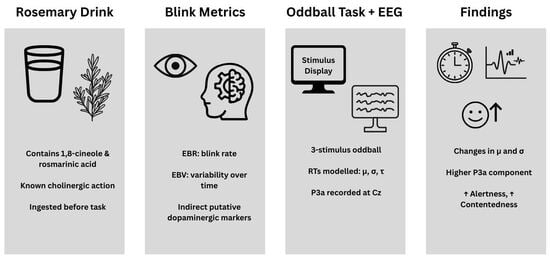 Relationship between EBR and Mu (μ) for control and rosemary conditions. Final figures and tables are supplied as a separate file to aid production; embedded versions are retained in the manuscript for reference.