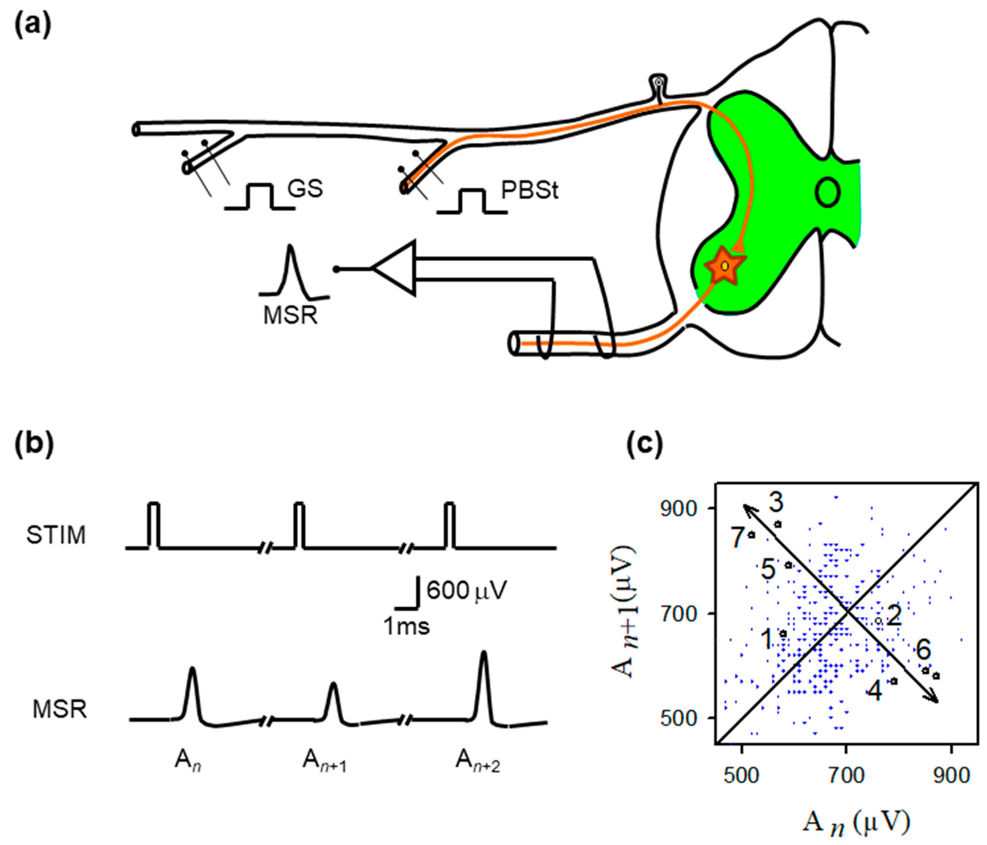Neurosci 07 00018 g001