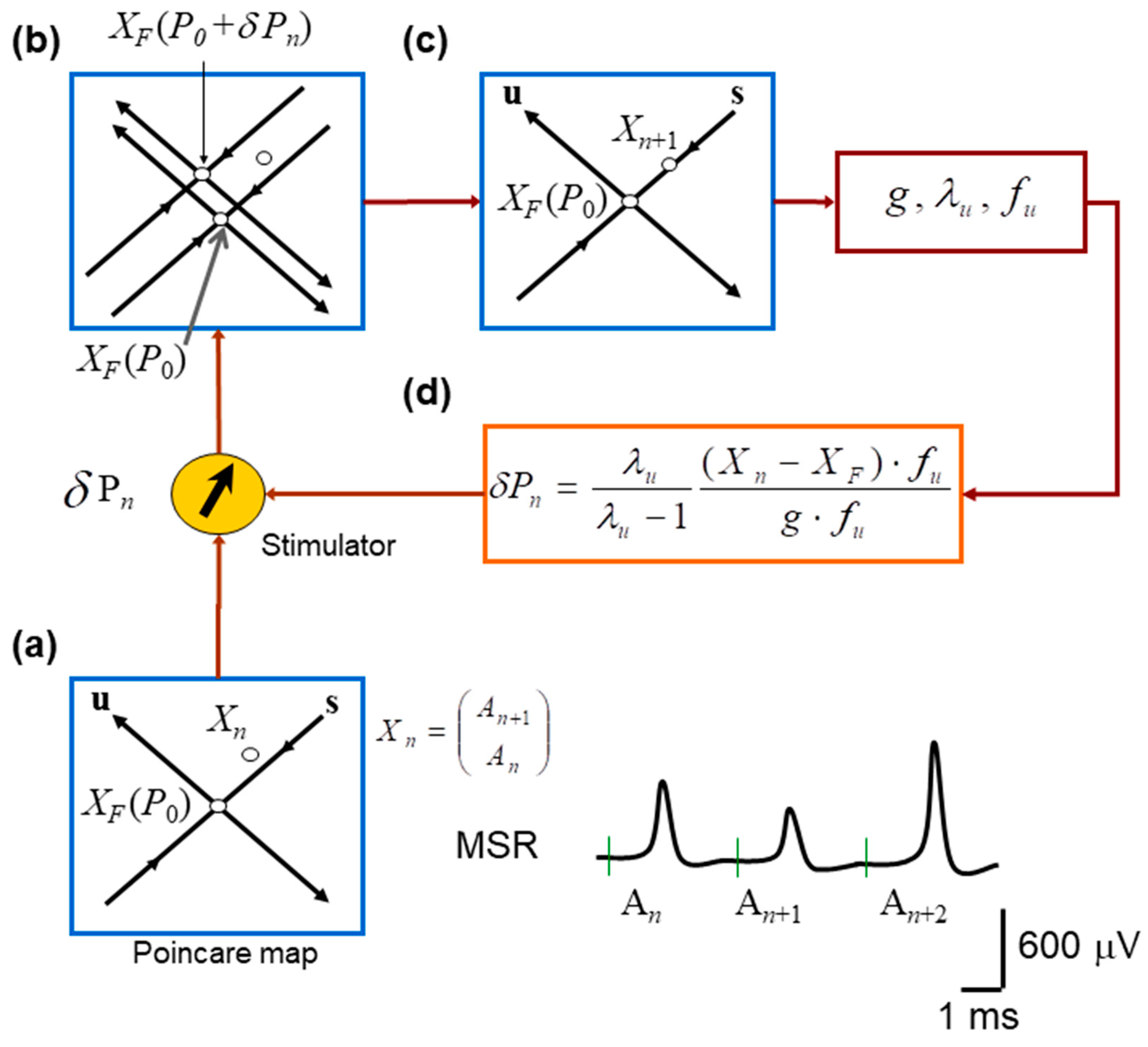 Neurosci 07 00018 g002