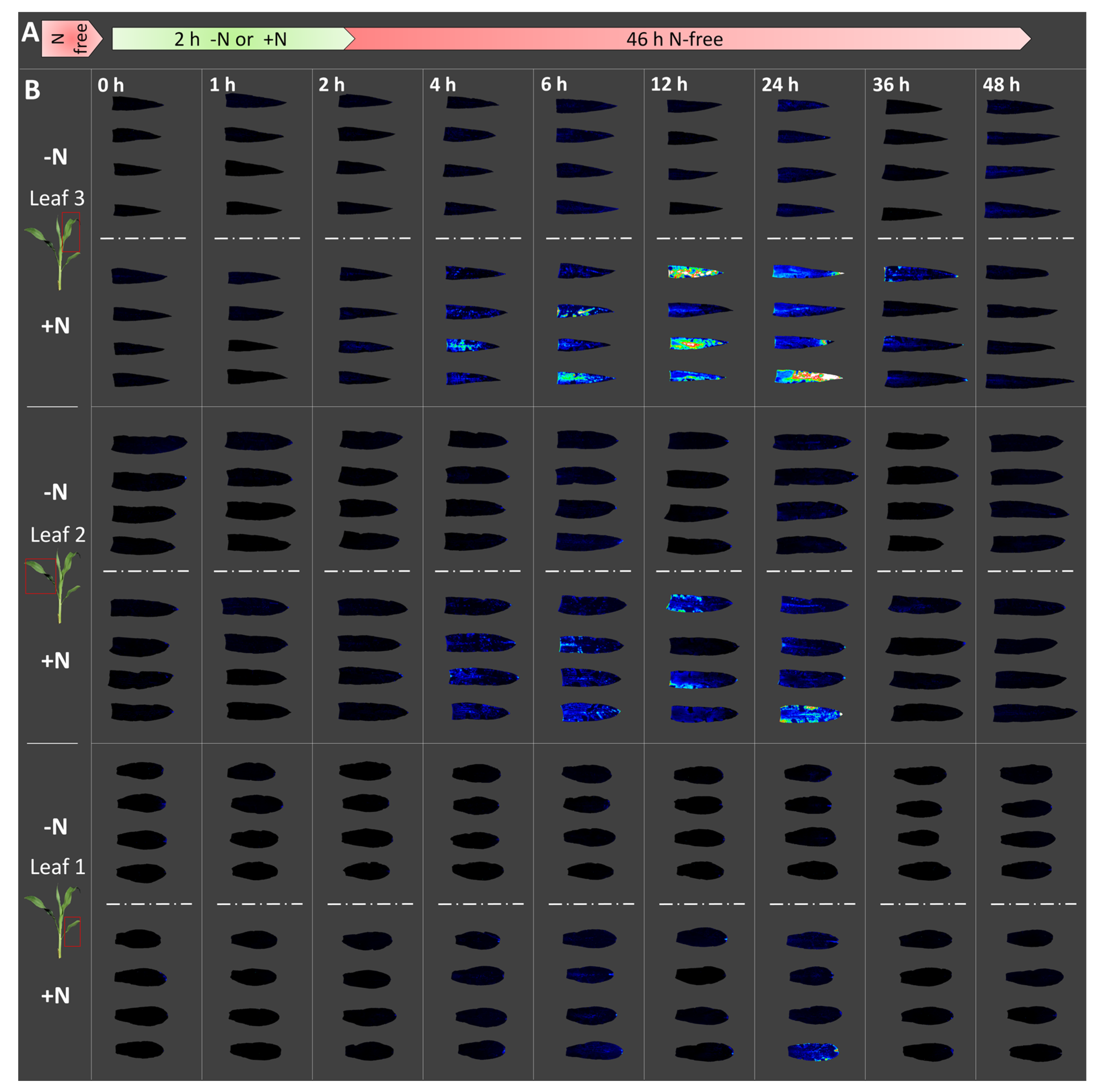 Nitrogen 01 00002 g002