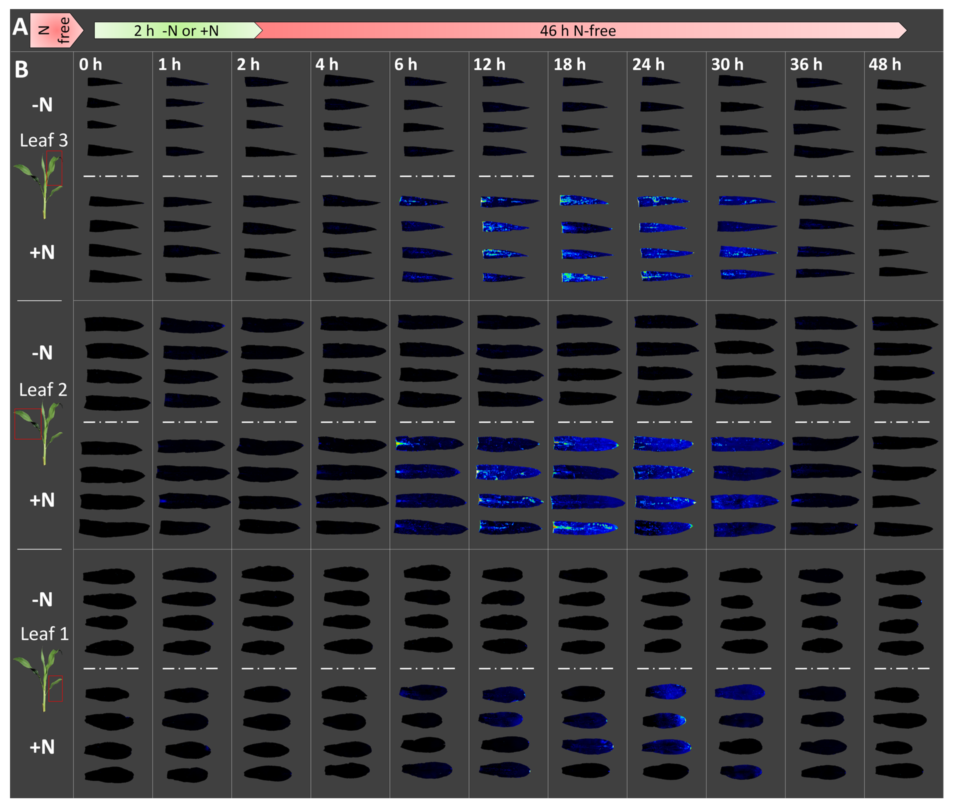 Nitrogen 01 00002 g003