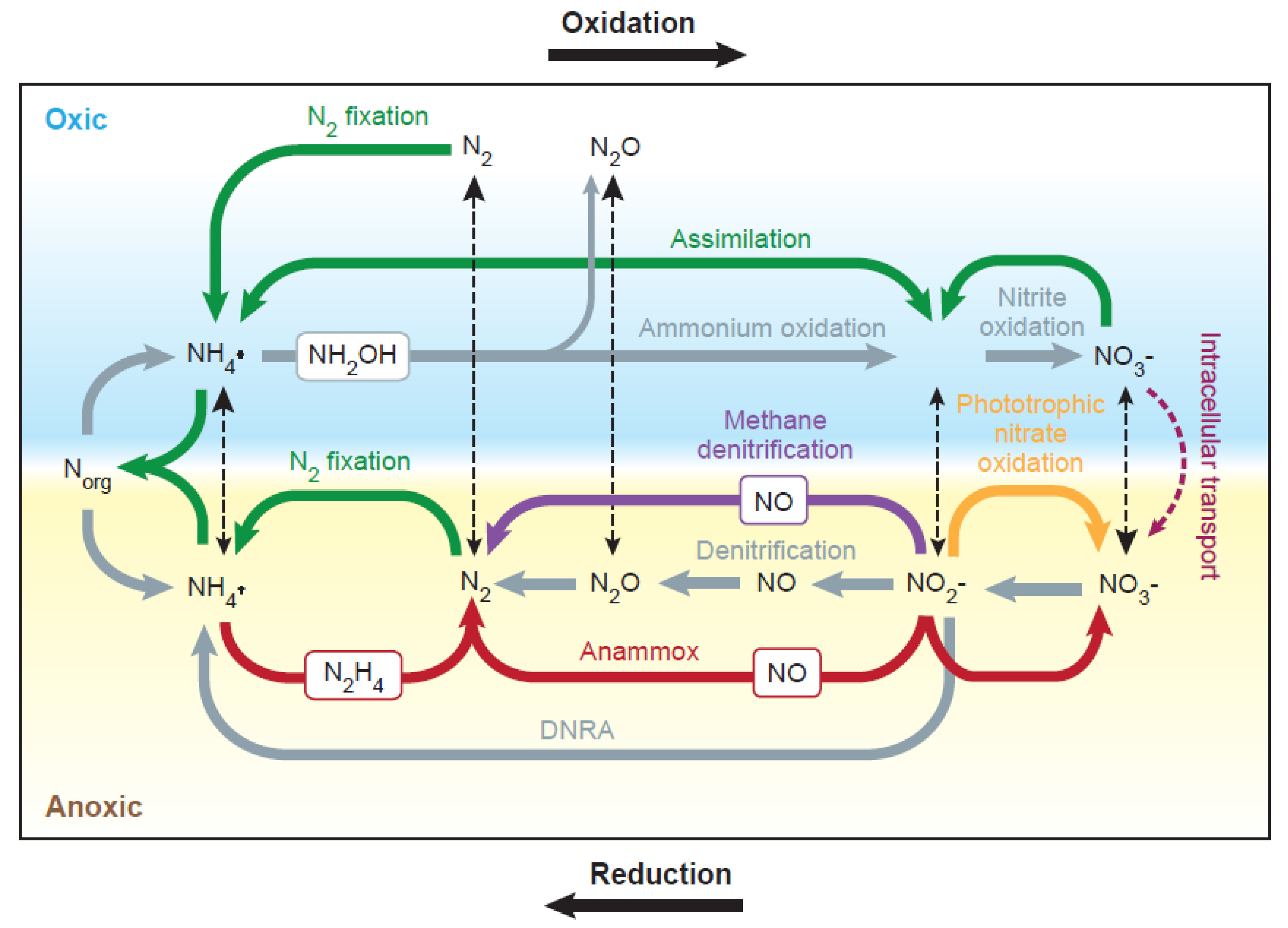 Nitrogen 01 00014 g003