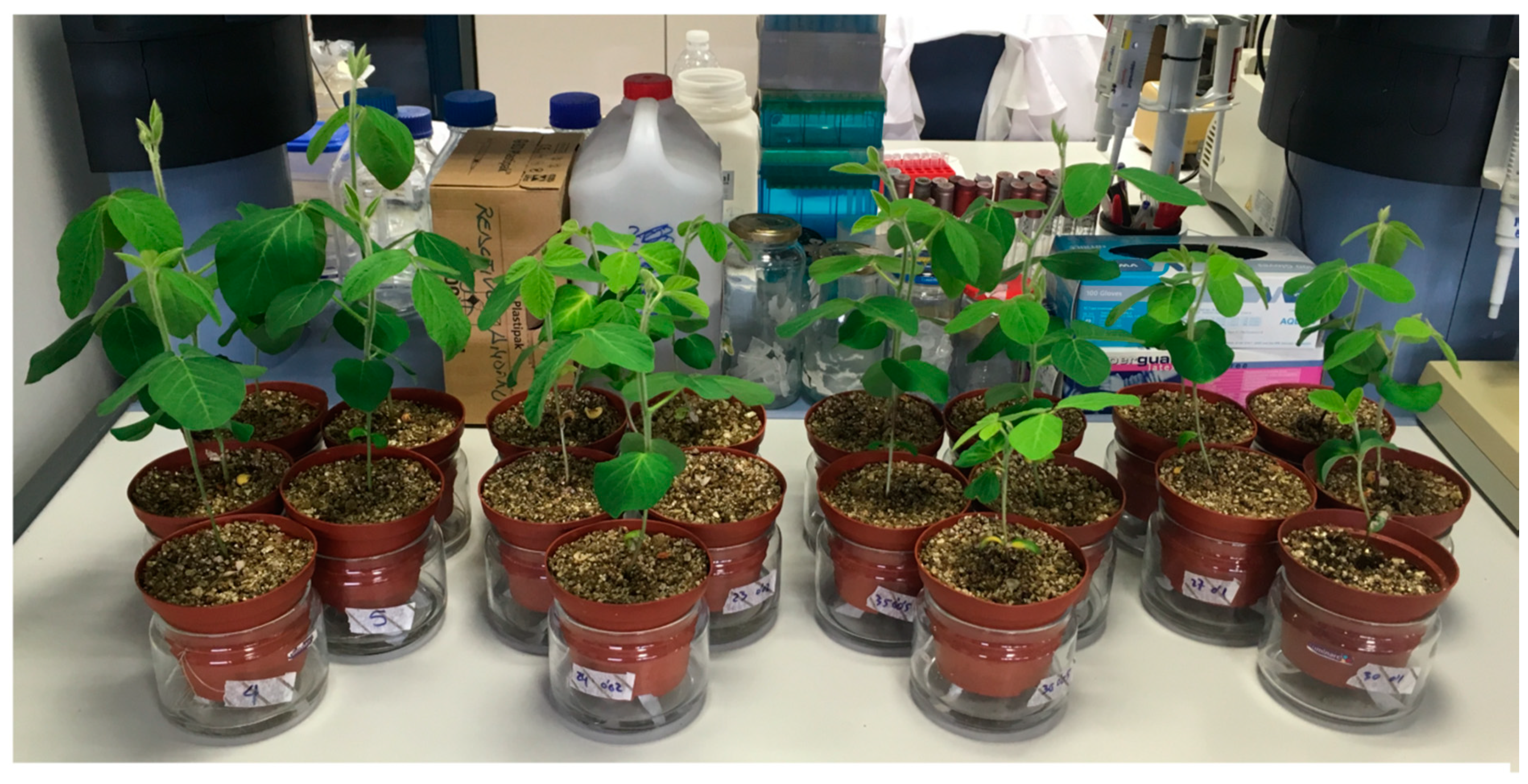 Nitrogen 02 00003 g001