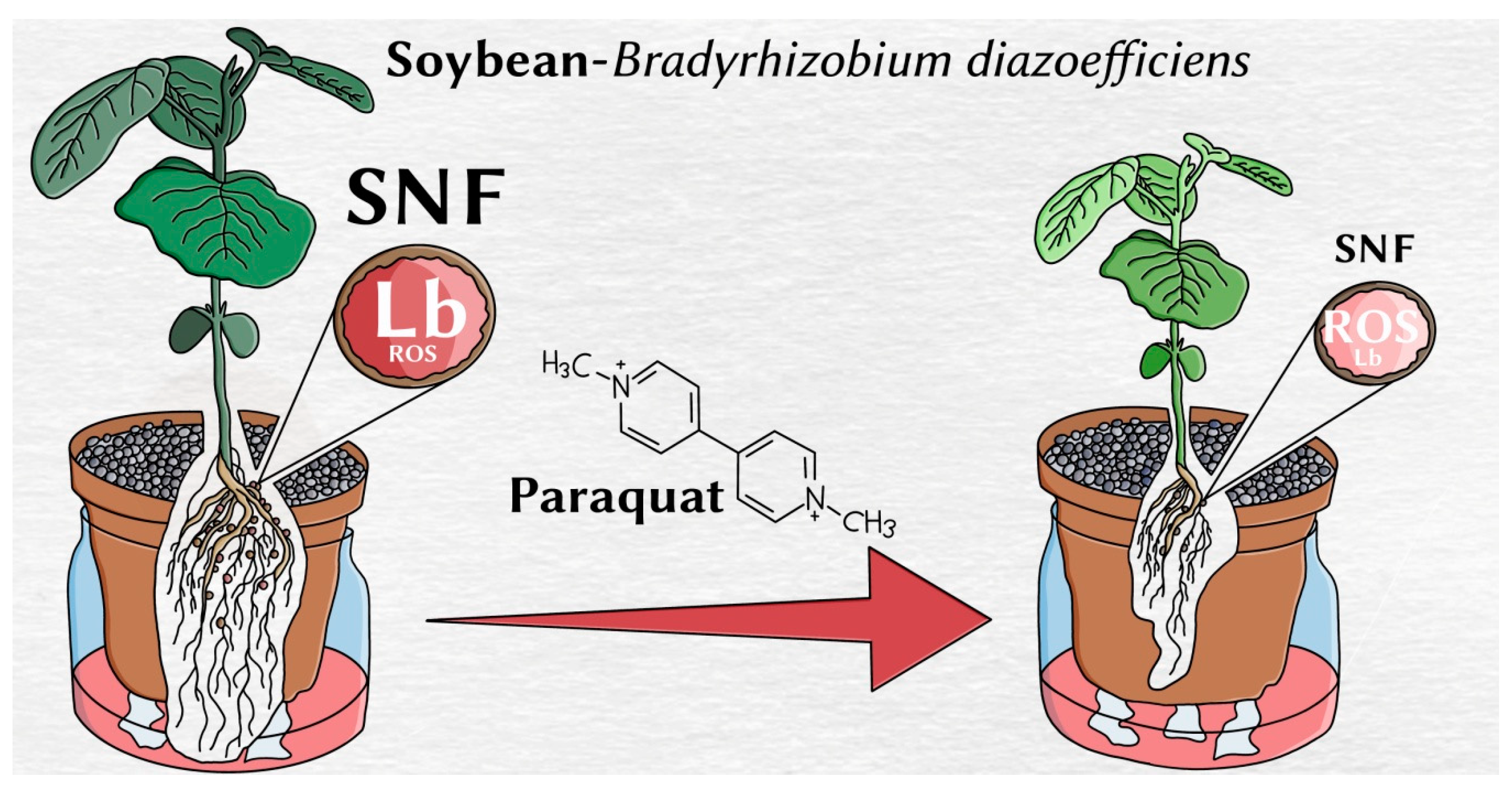 Nitrogen 02 00003 g004