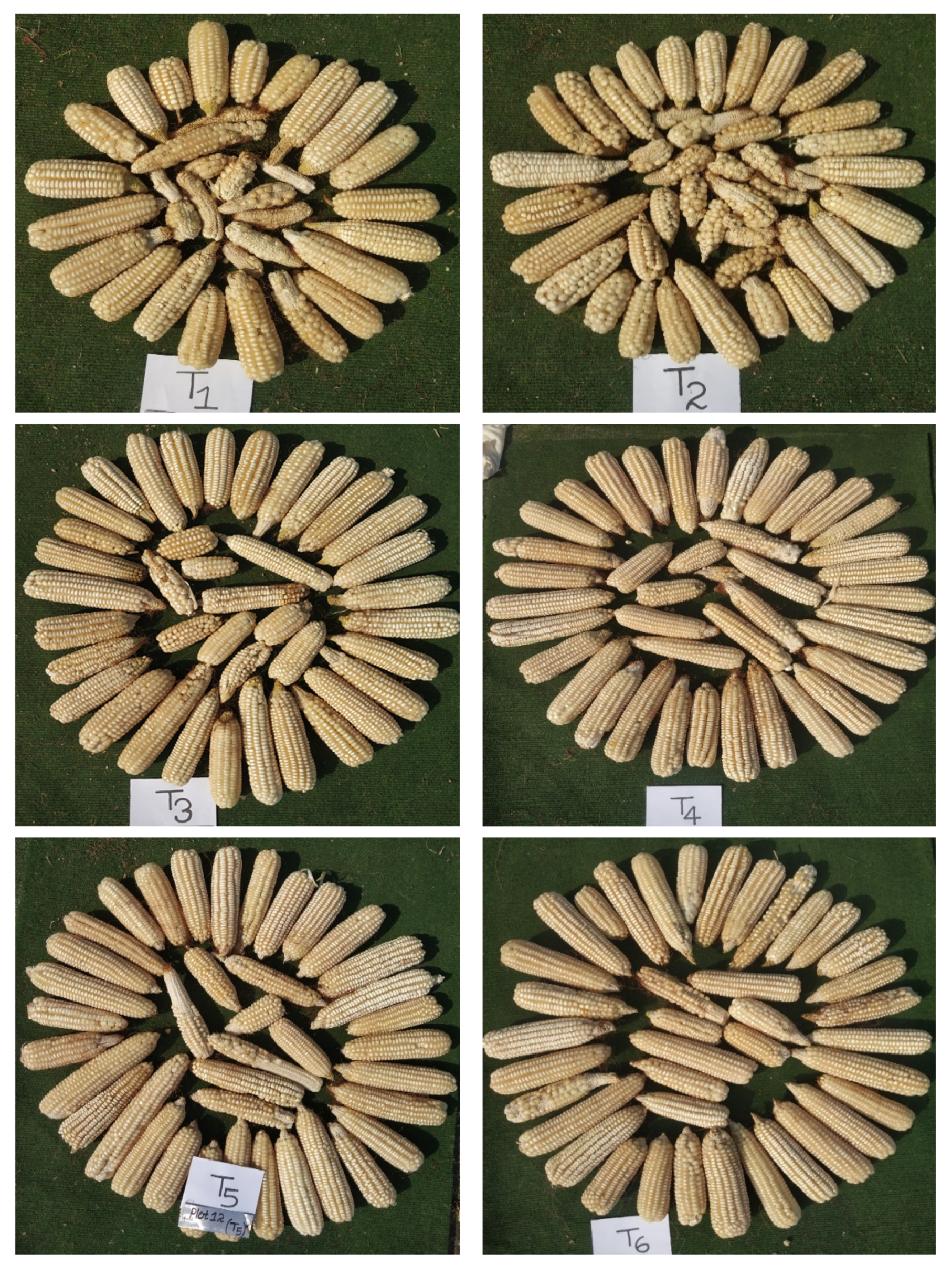 Nitrogen 02 00025 g008