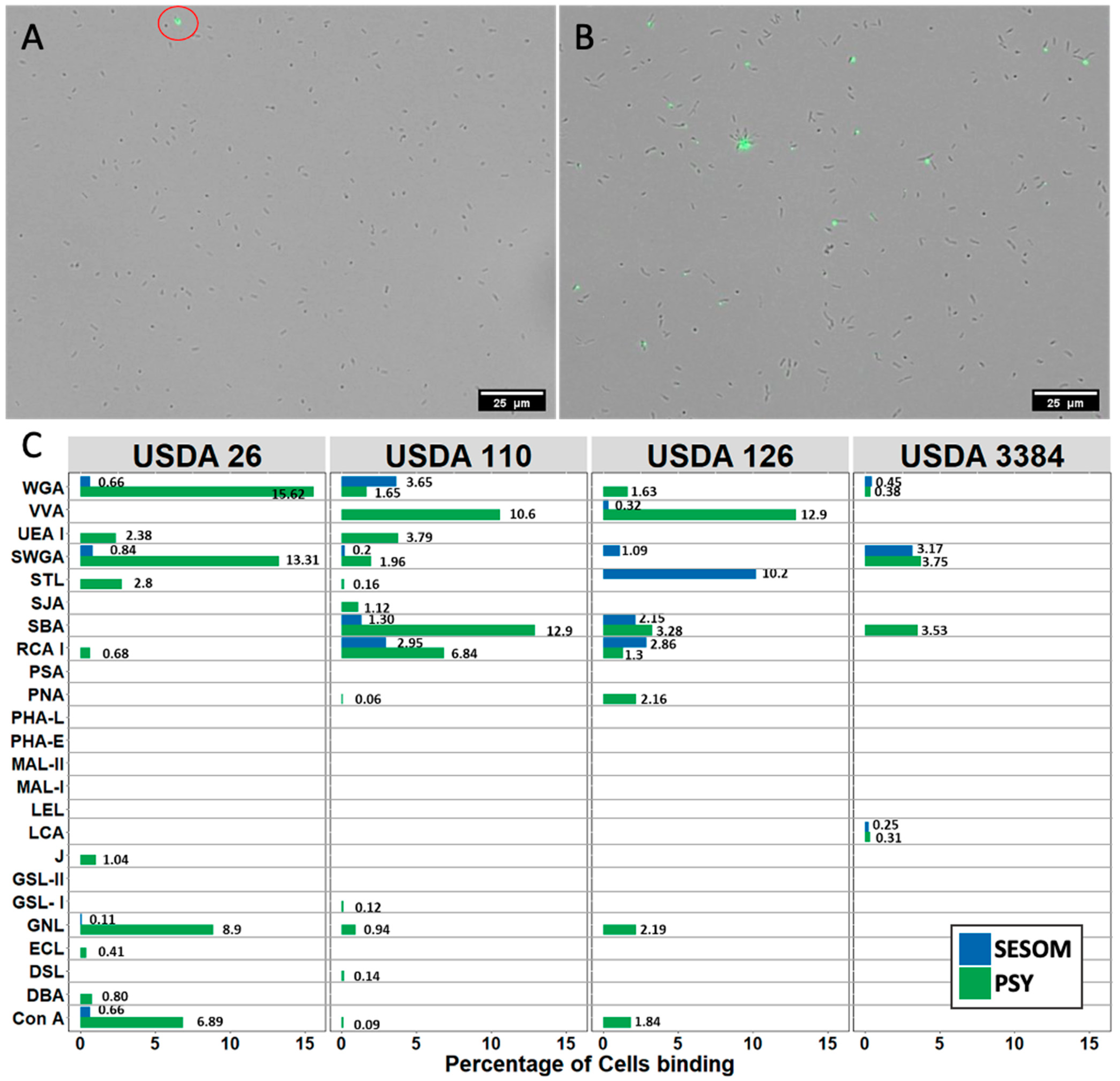 Nitrogen 02 00031 g004 Nitrogen 02 00031 g004