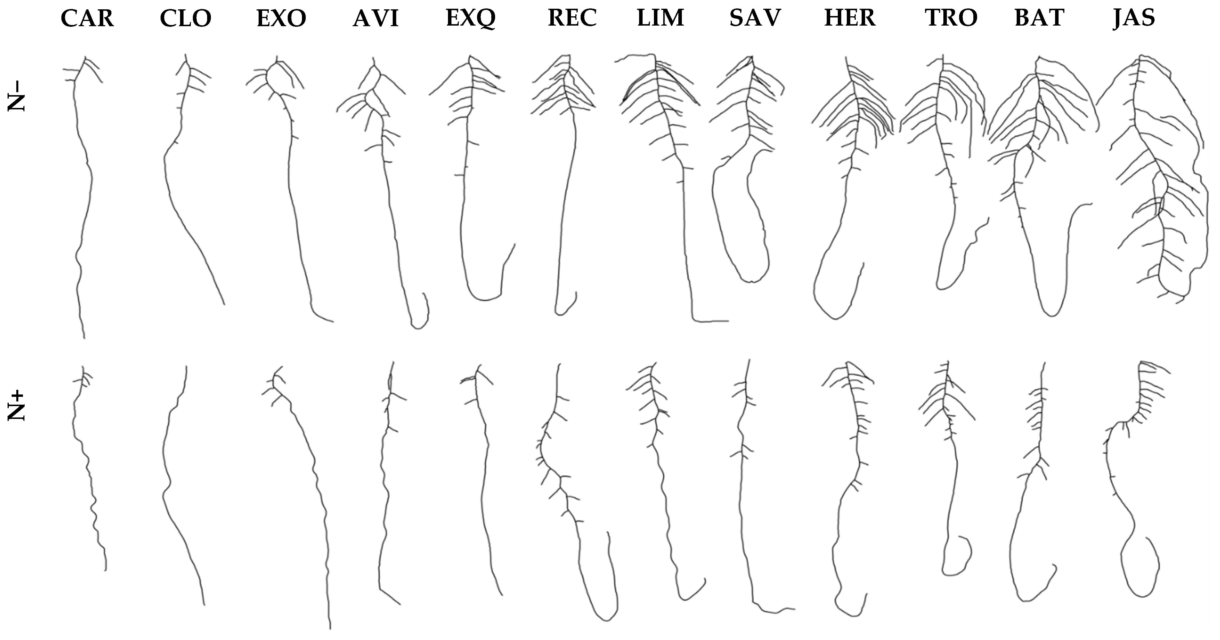 Nitrogen 02 00033 g002