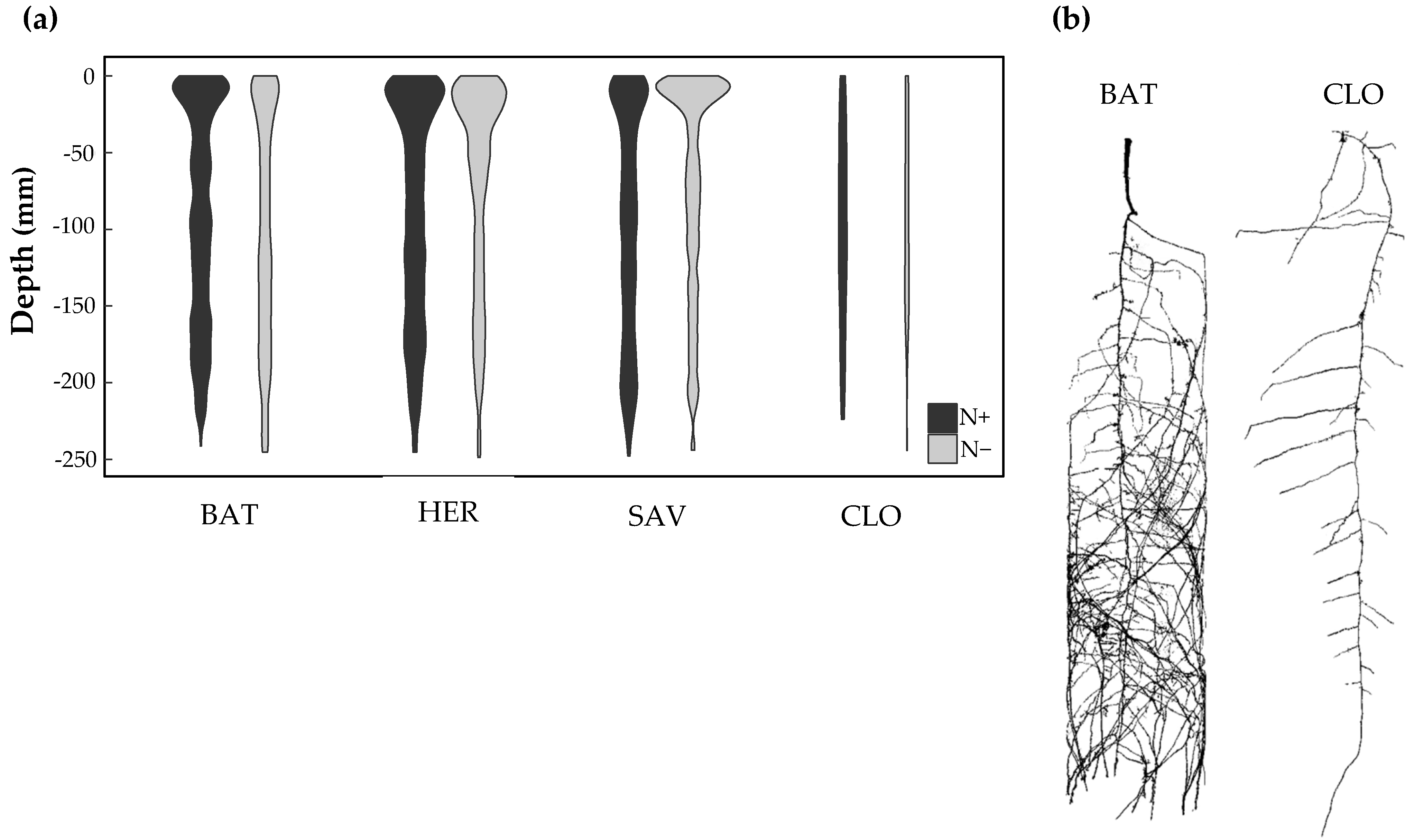 Nitrogen 02 00033 g006