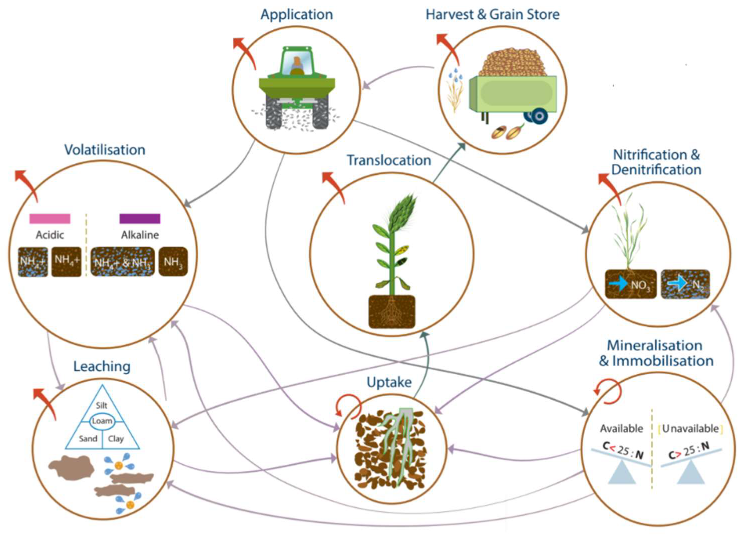 Nitrogen 03 00016 g001