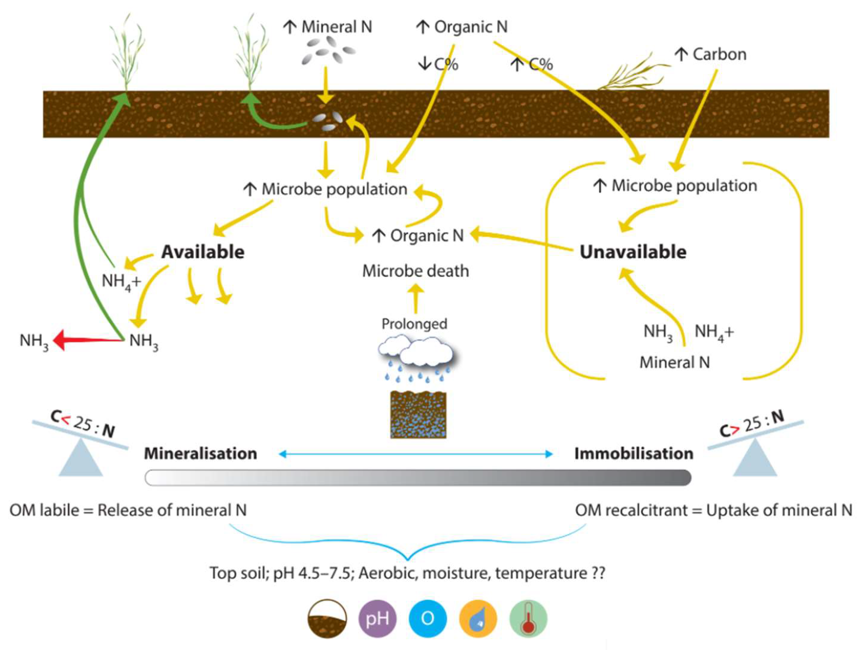 Nitrogen 03 00016 g004
