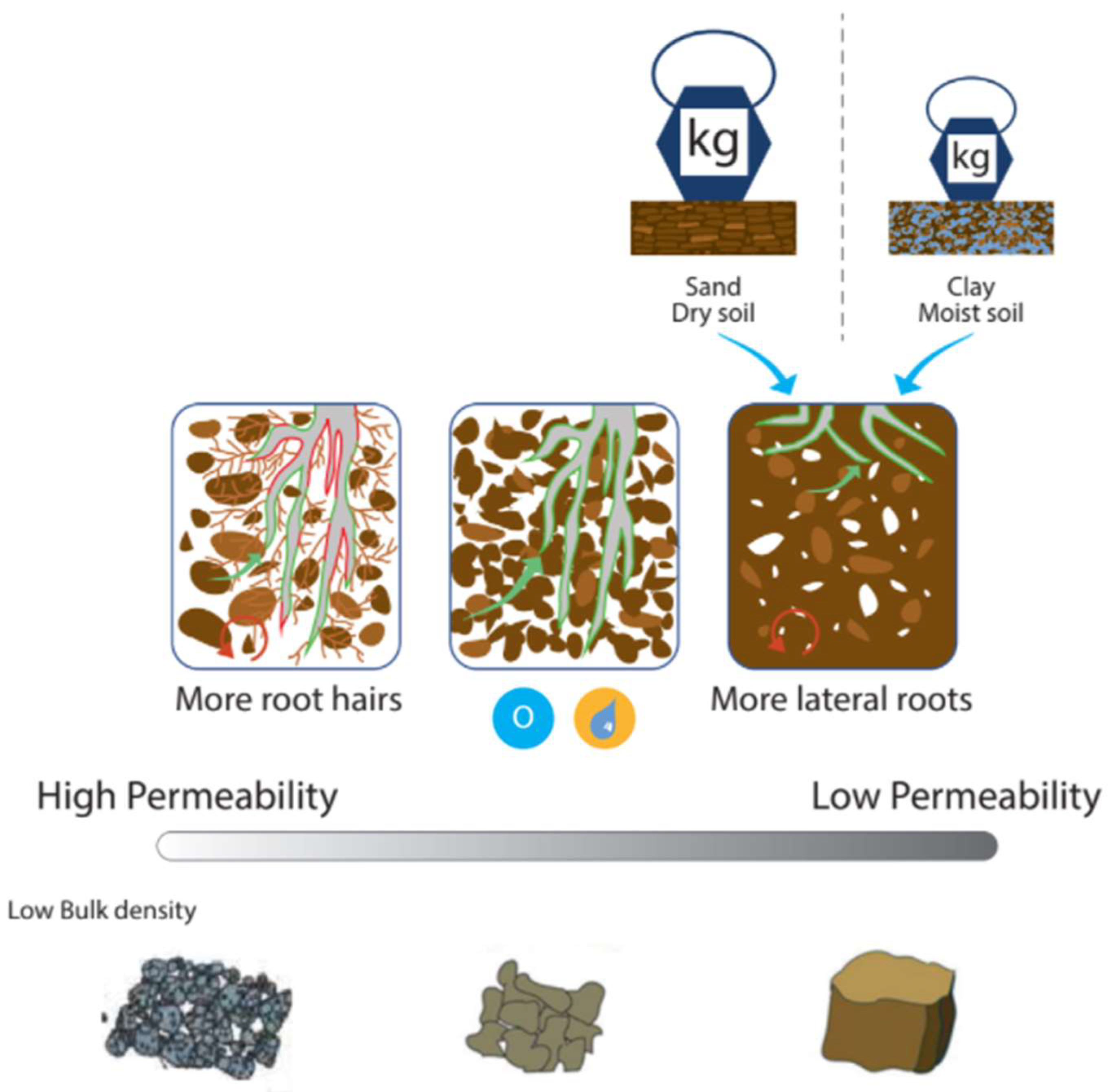 Nitrogen 03 00016 g005