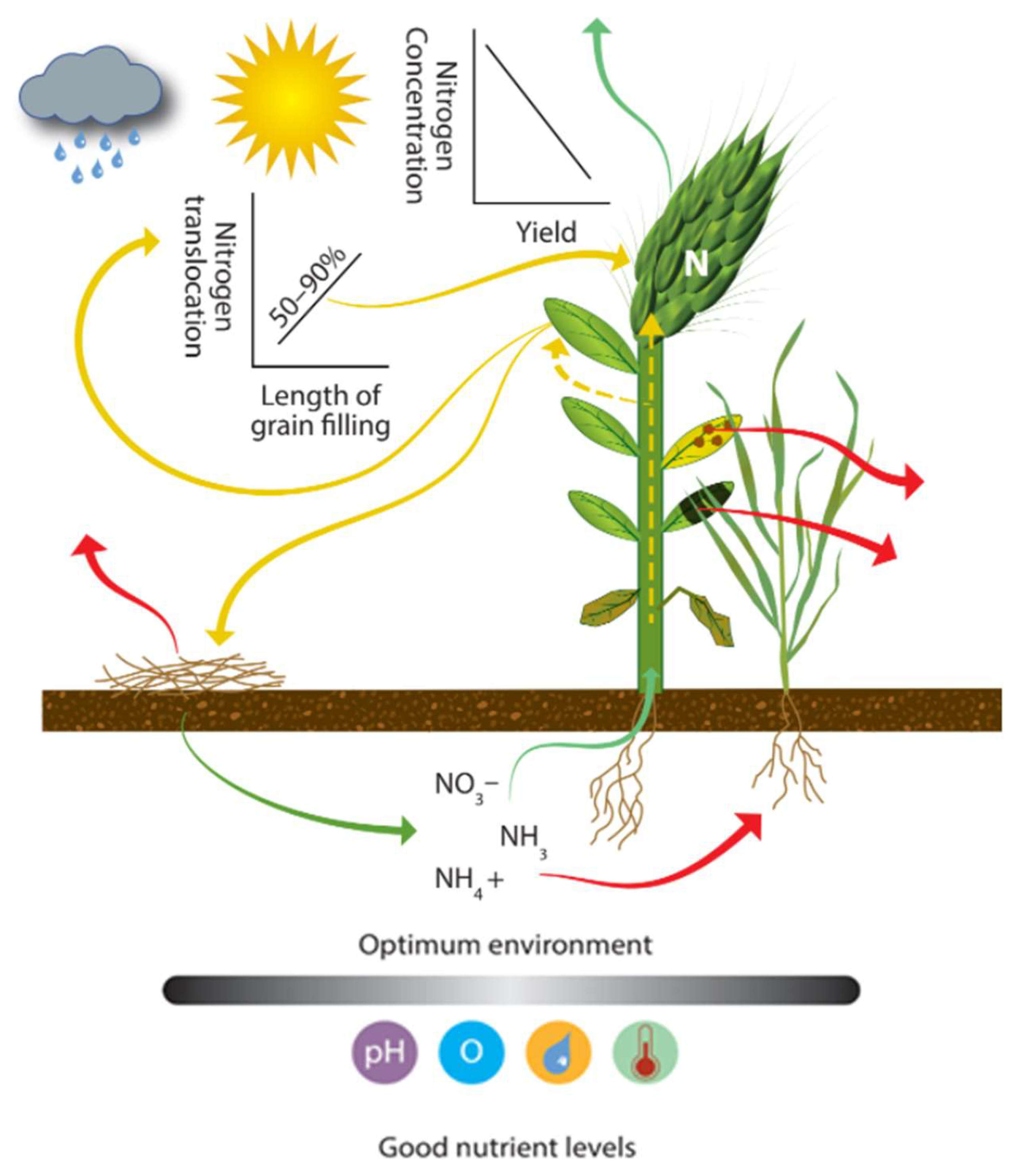Nitrogen 03 00016 g006