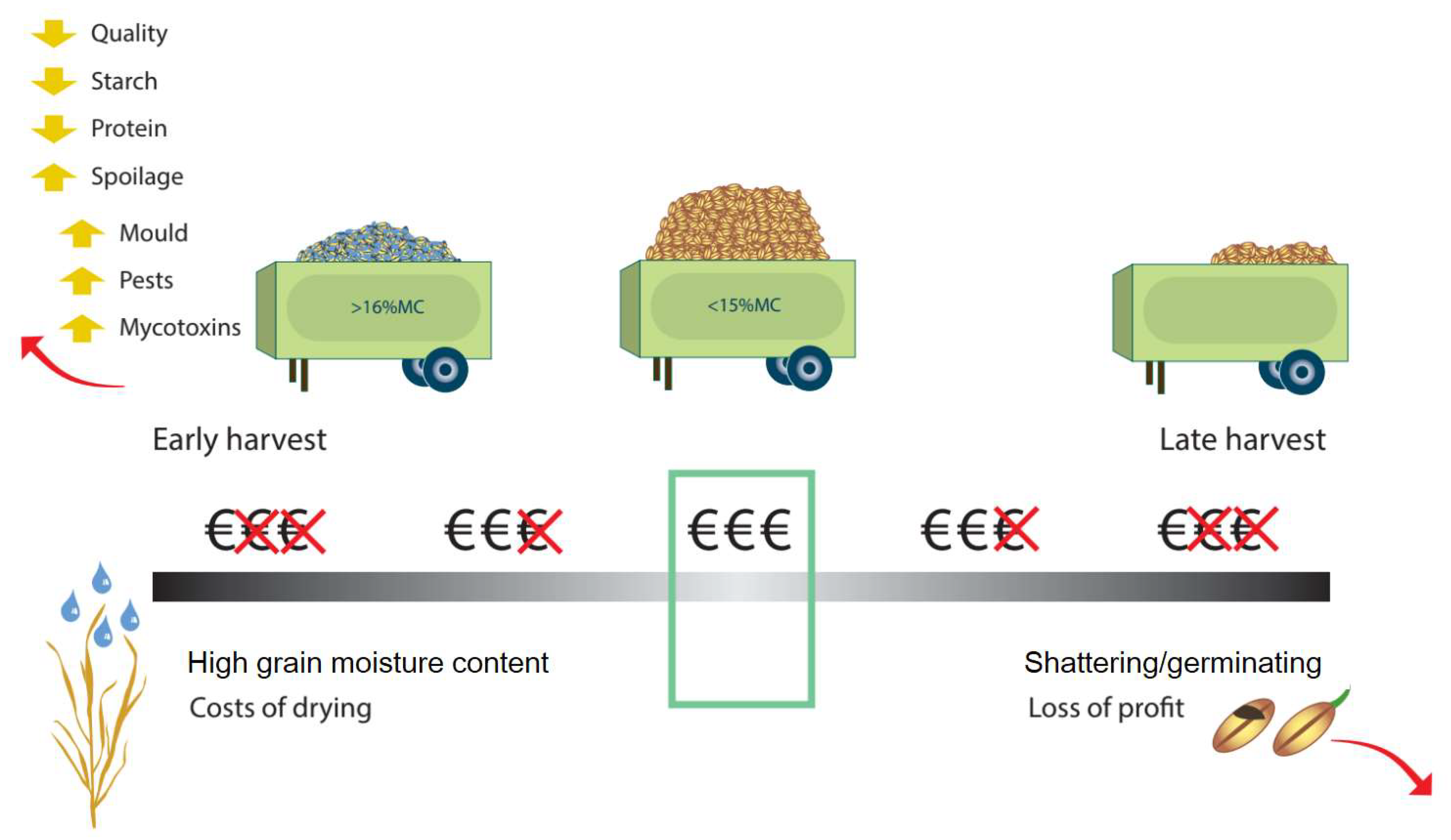Nitrogen 03 00016 g010