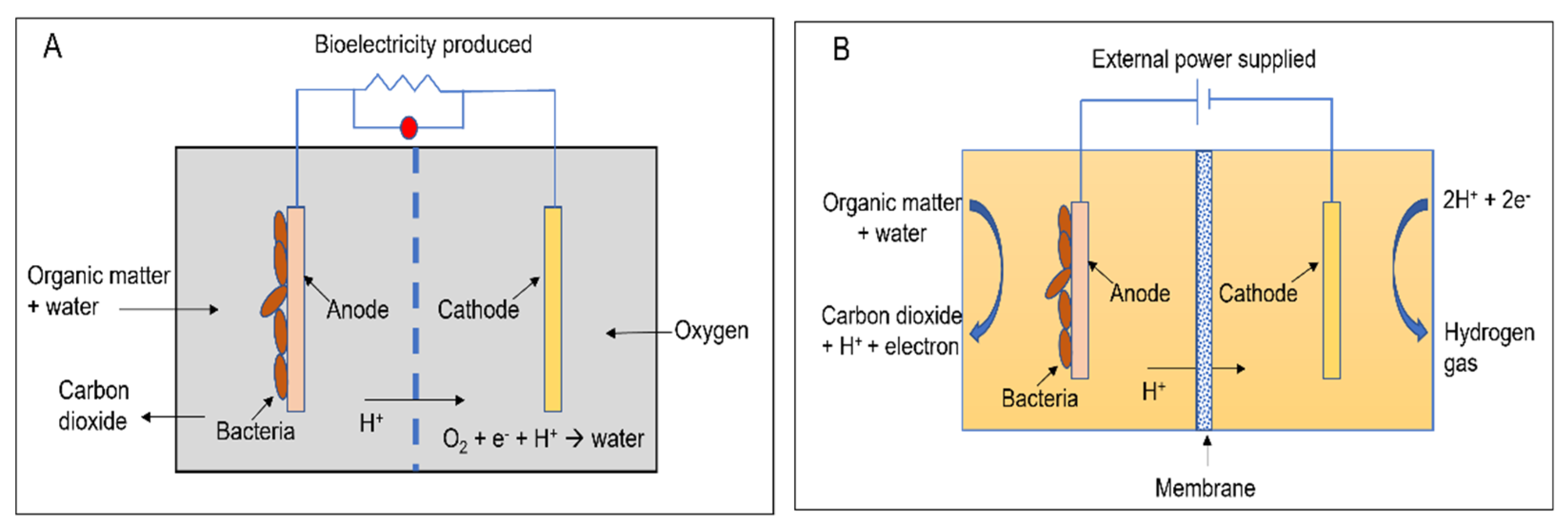 Nitrogen 03 00020 g001