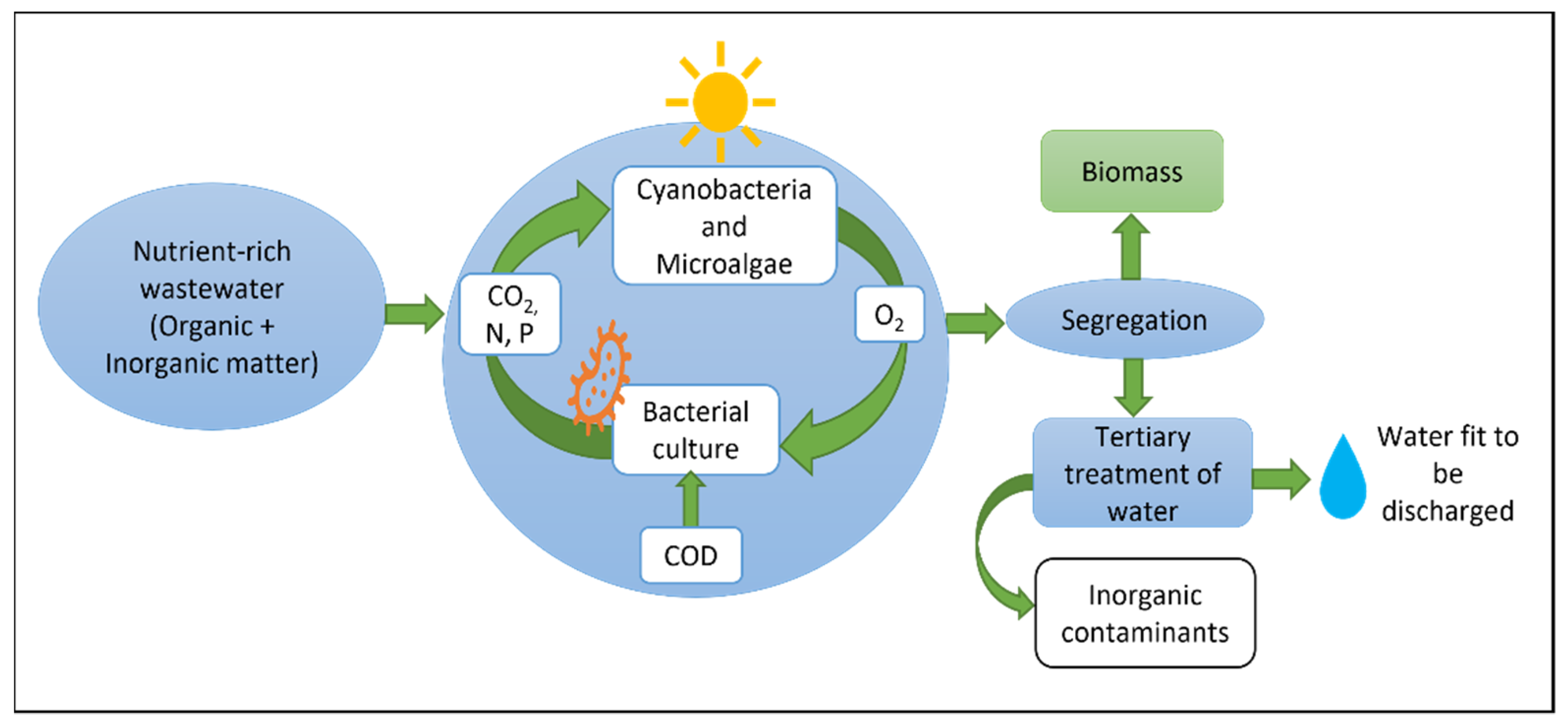 Nitrogen 03 00020 g002