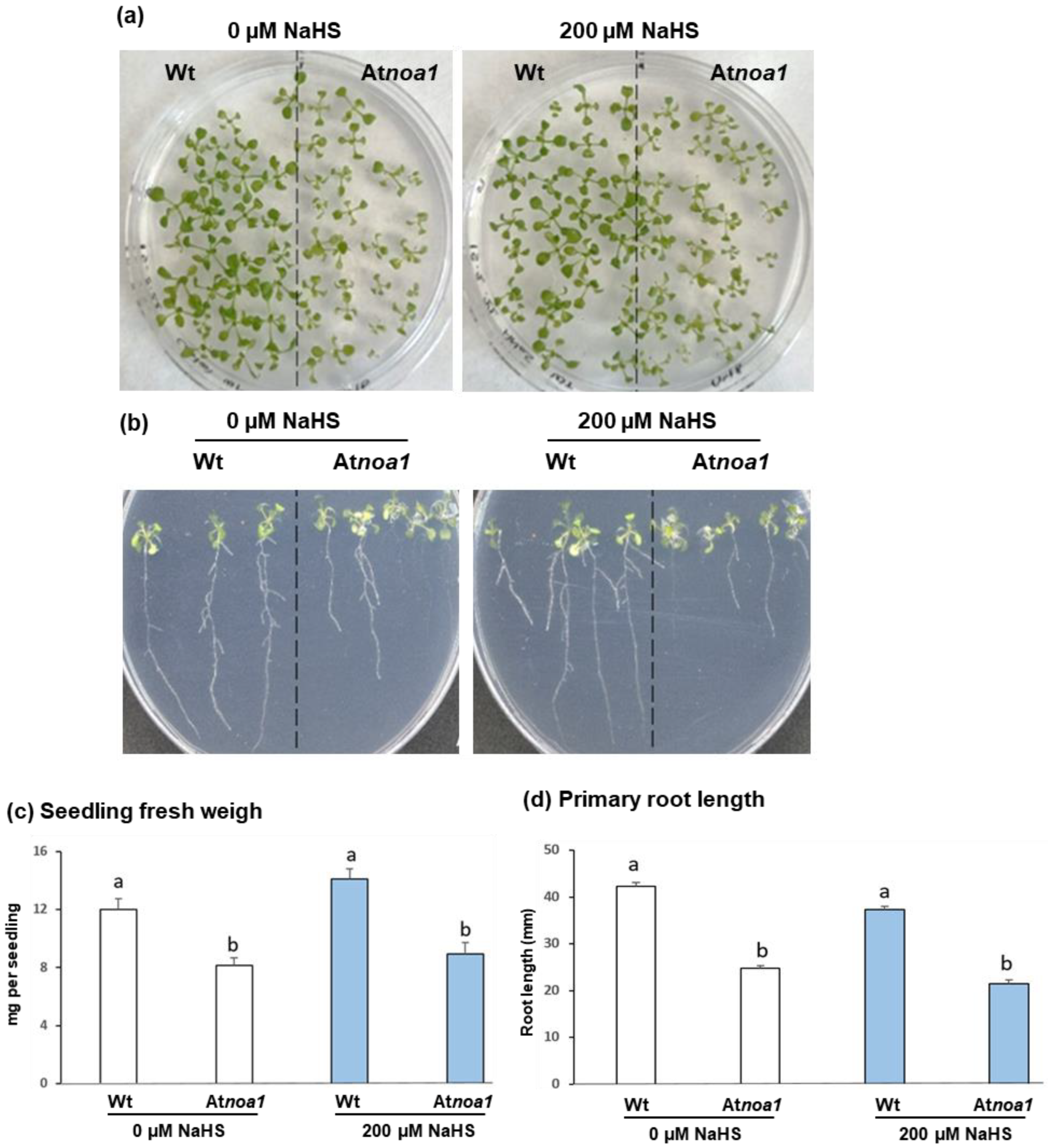 Nitrogen 04 00016 g001