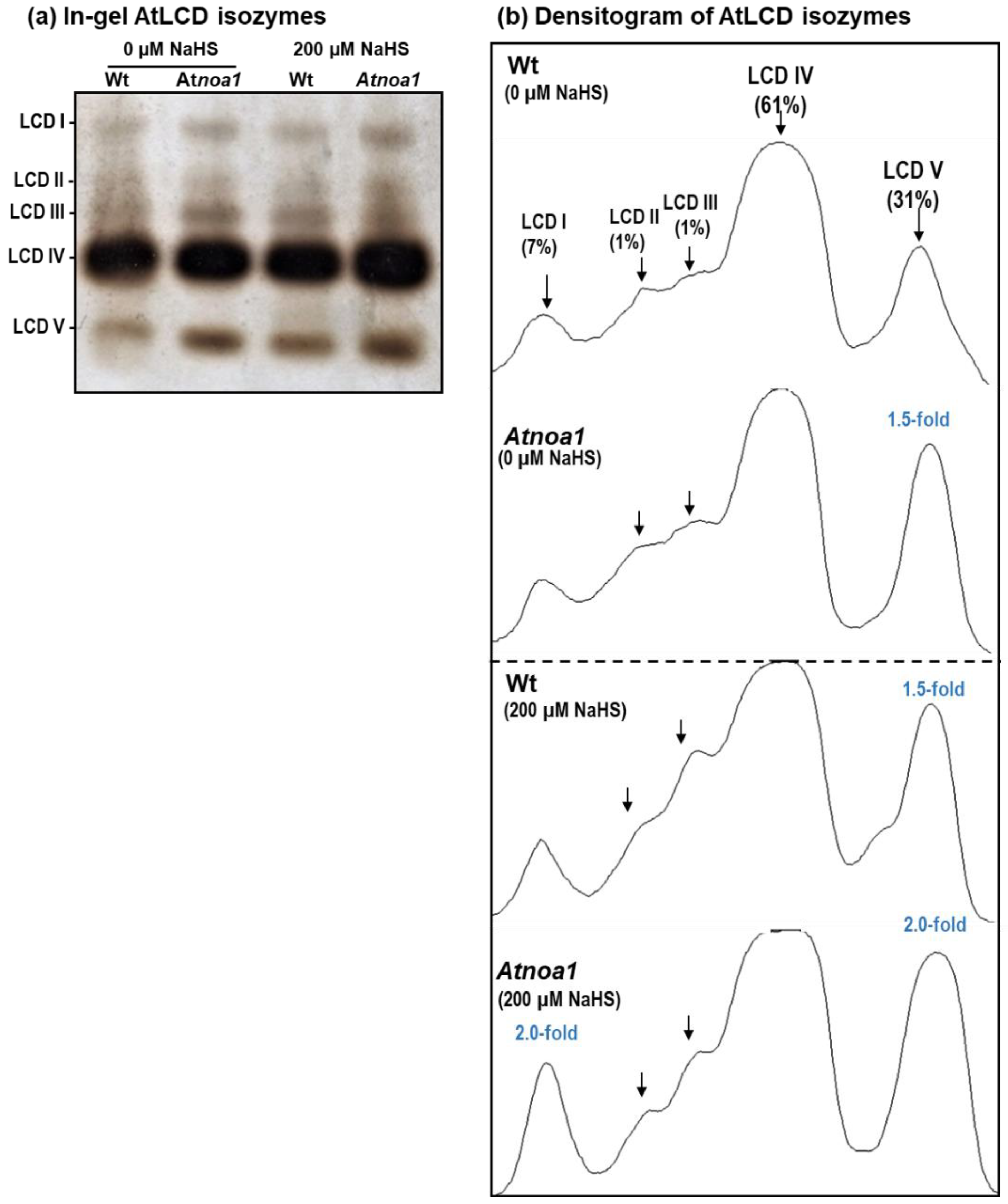 Nitrogen 04 00016 g002