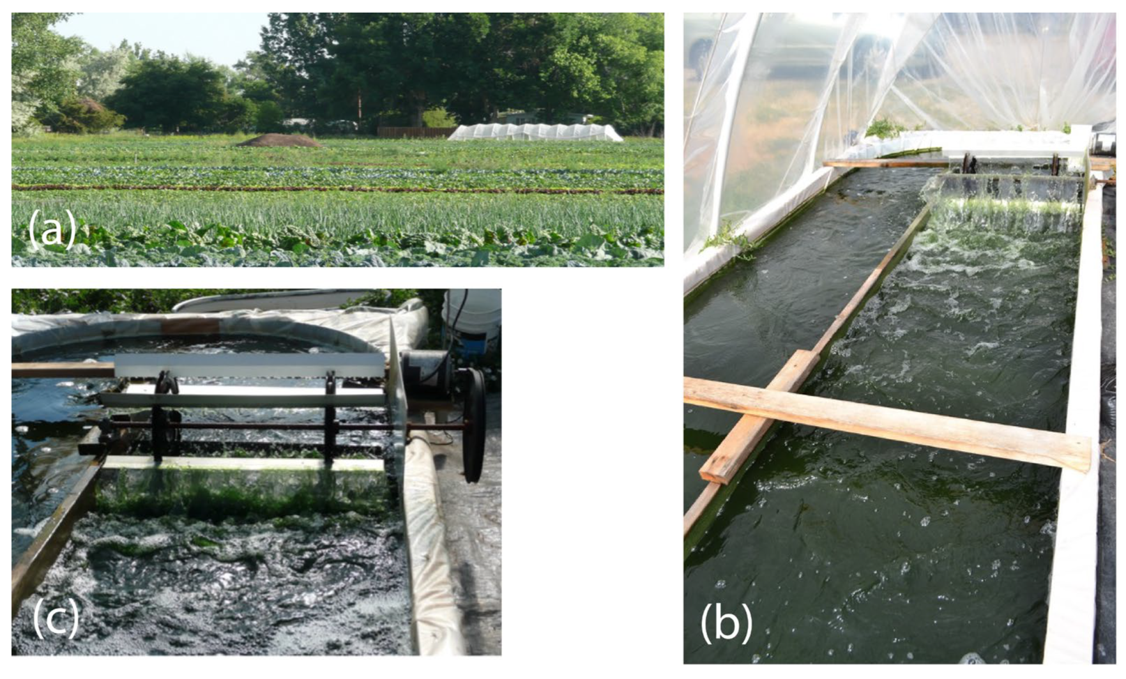 Nitrogen 04 00018 g001