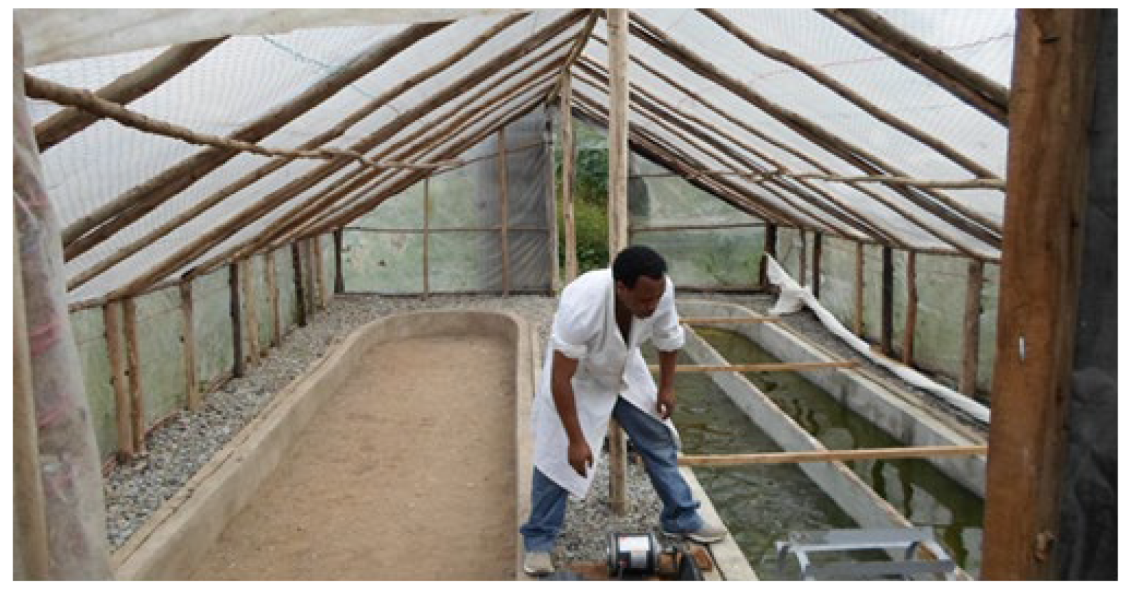 Nitrogen 04 00018 g002