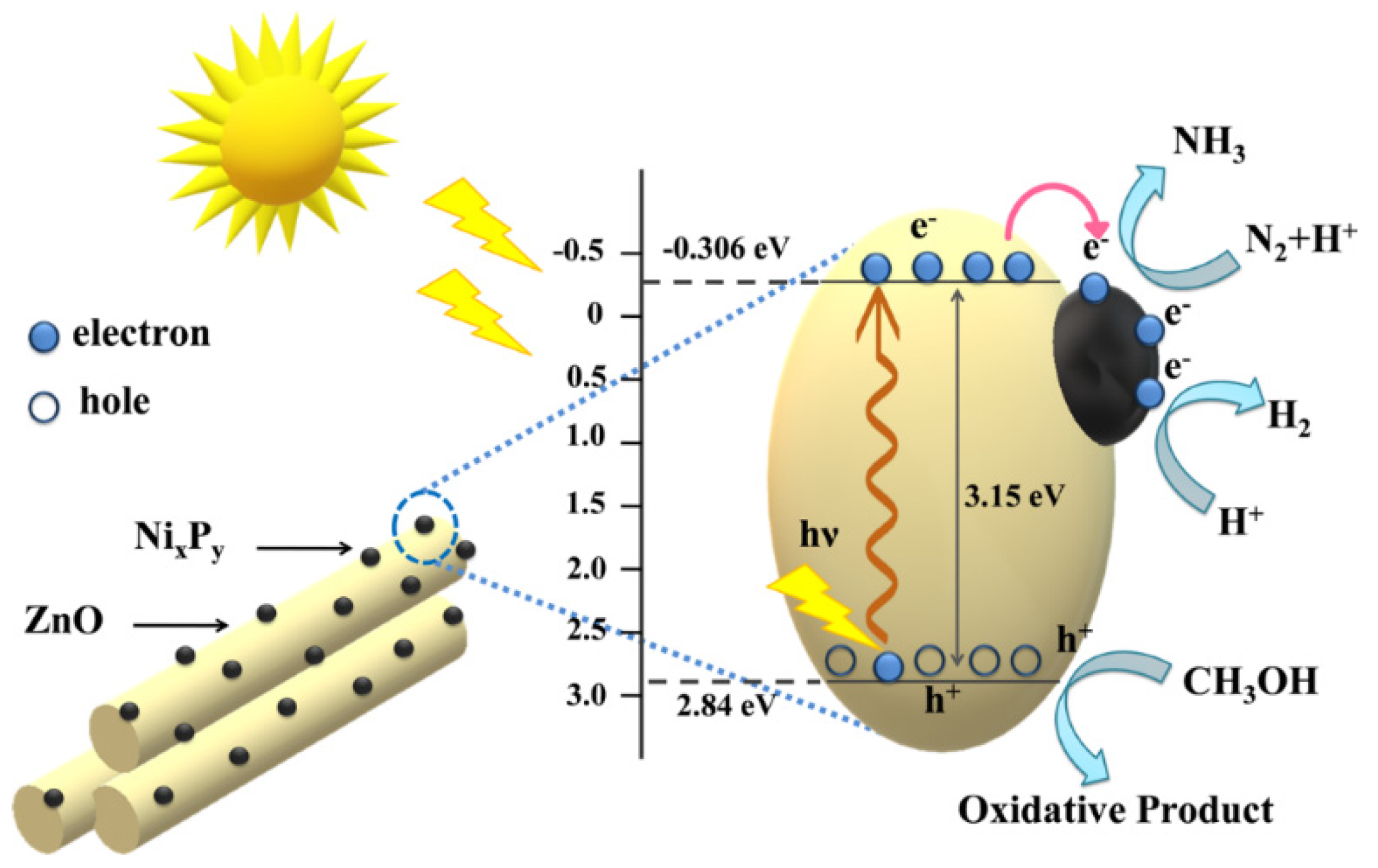 Nitrogen 05 00023 g006