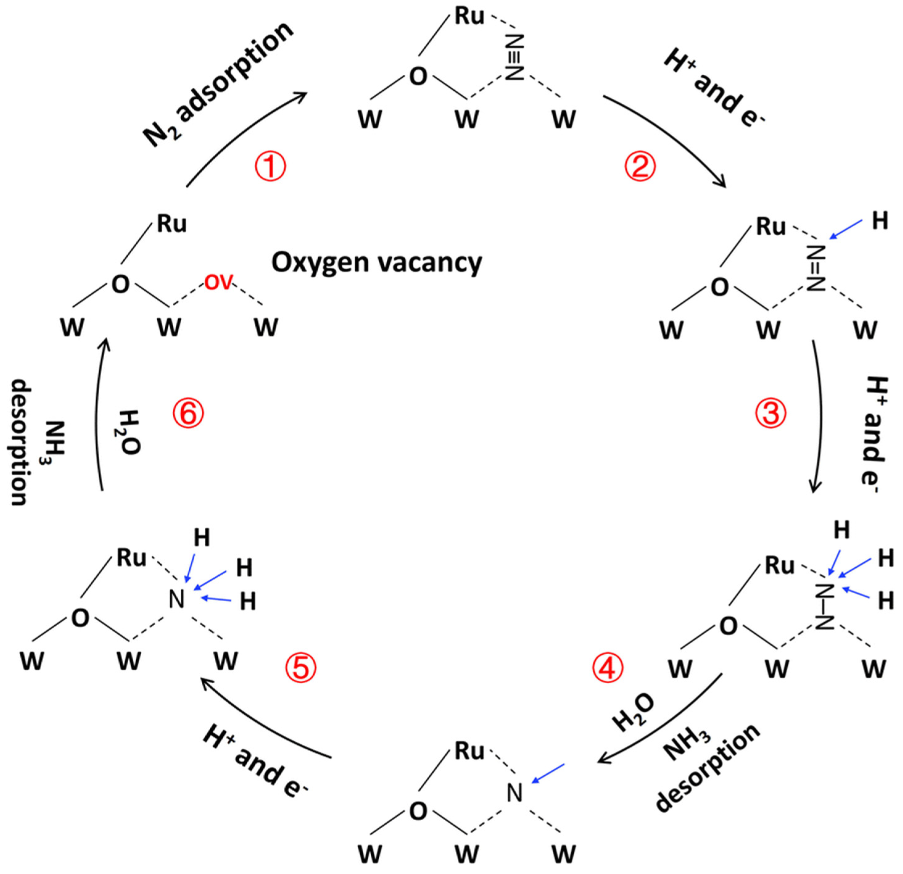 Nitrogen 05 00023 g007