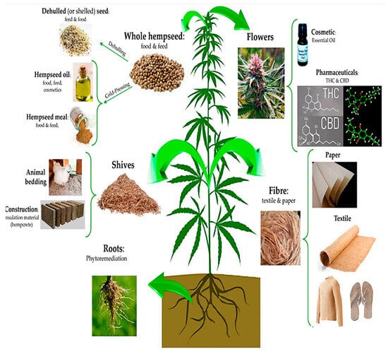 Nitrogen 05 00042 g001