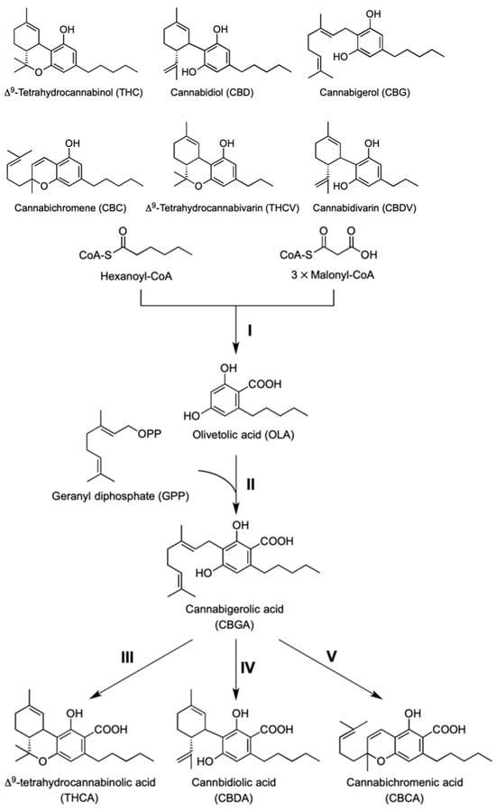 Nitrogen 05 00042 g003