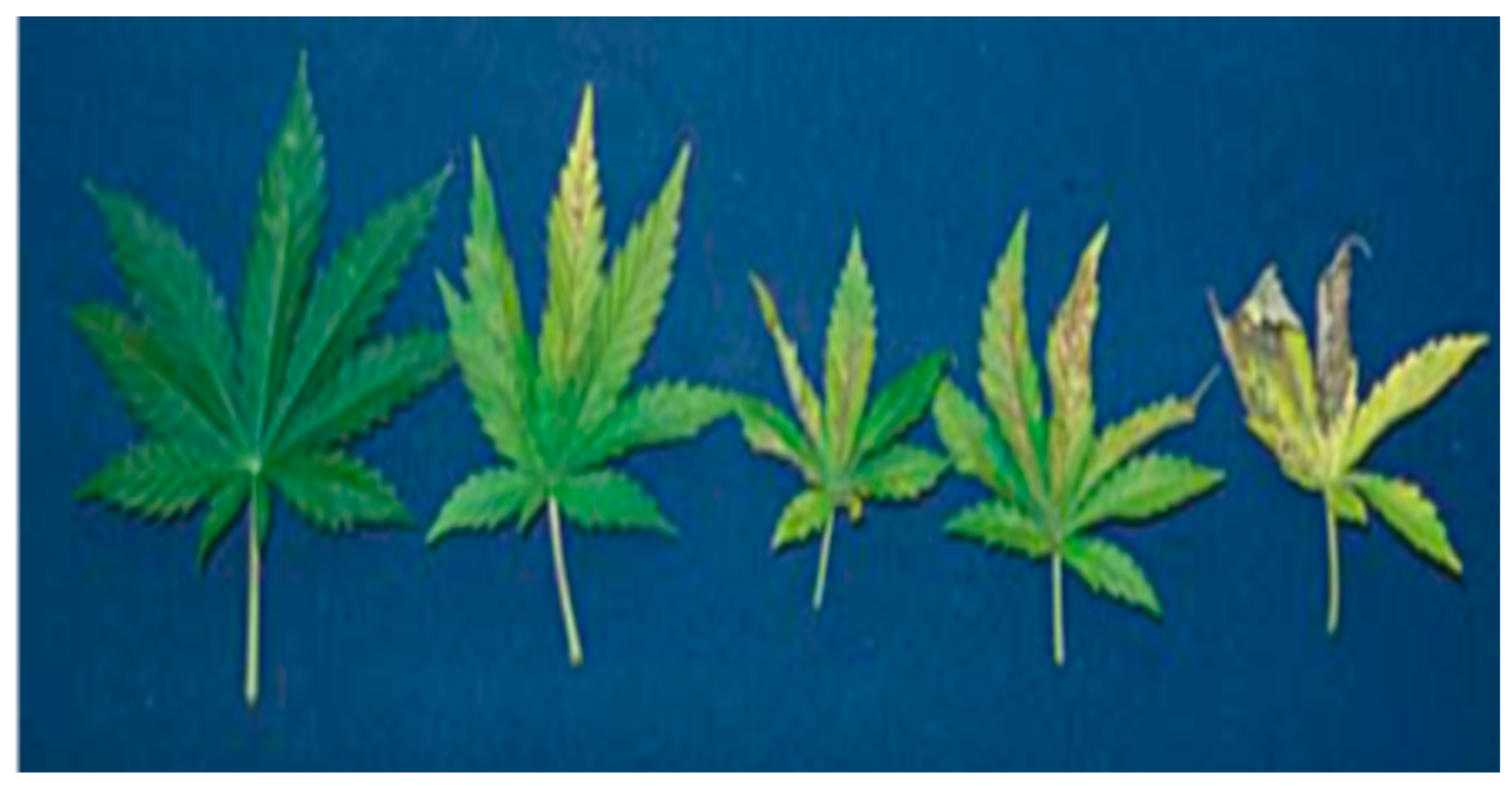 Nitrogen 05 00042 g005