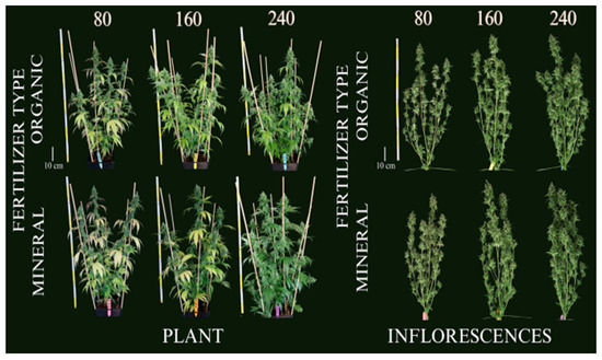 Nitrogen 05 00042 g007