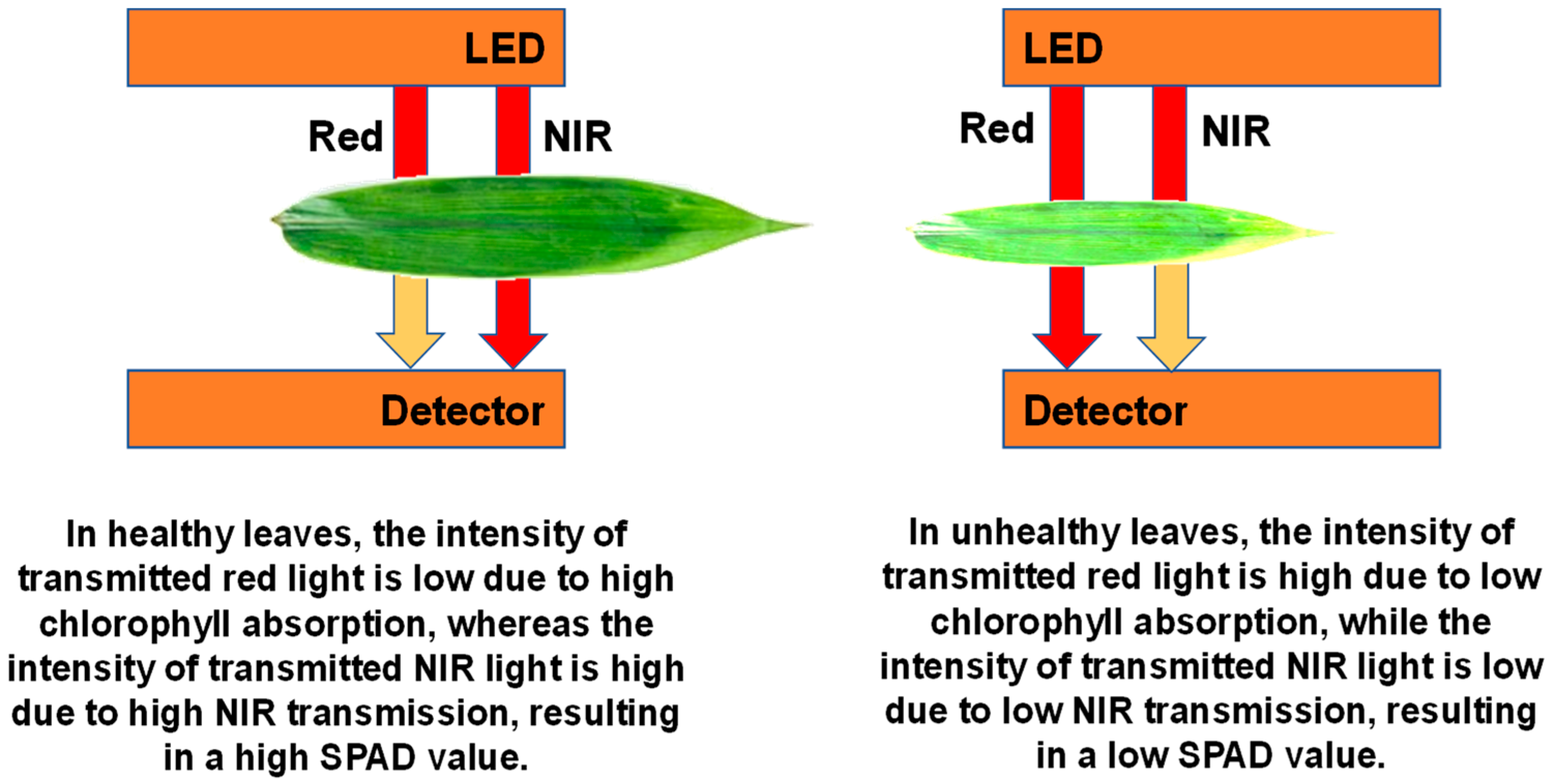 Nitrogen 05 00054 g003