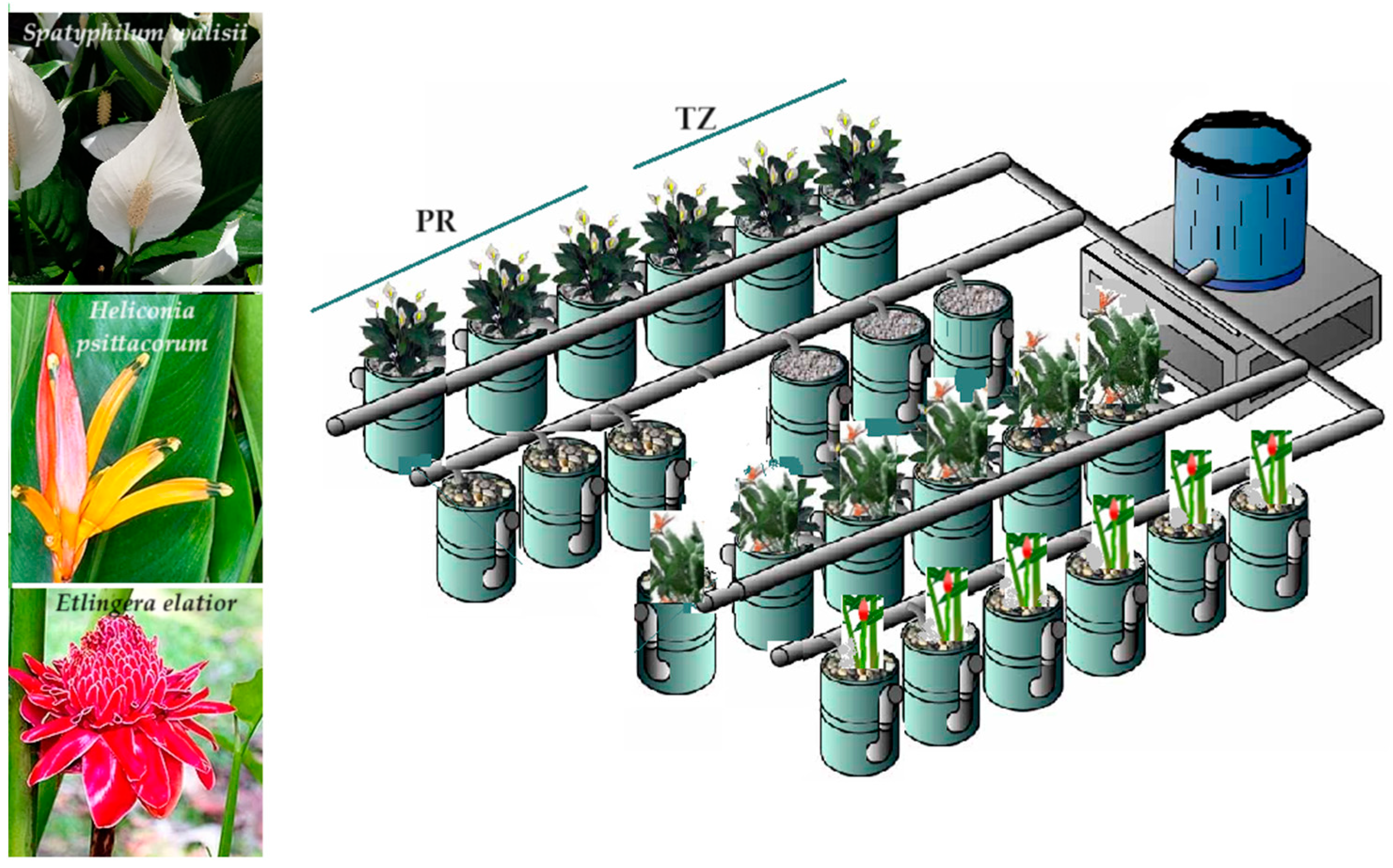Nitrogen 05 00058 g001 Nitrogen 05 00058 g001