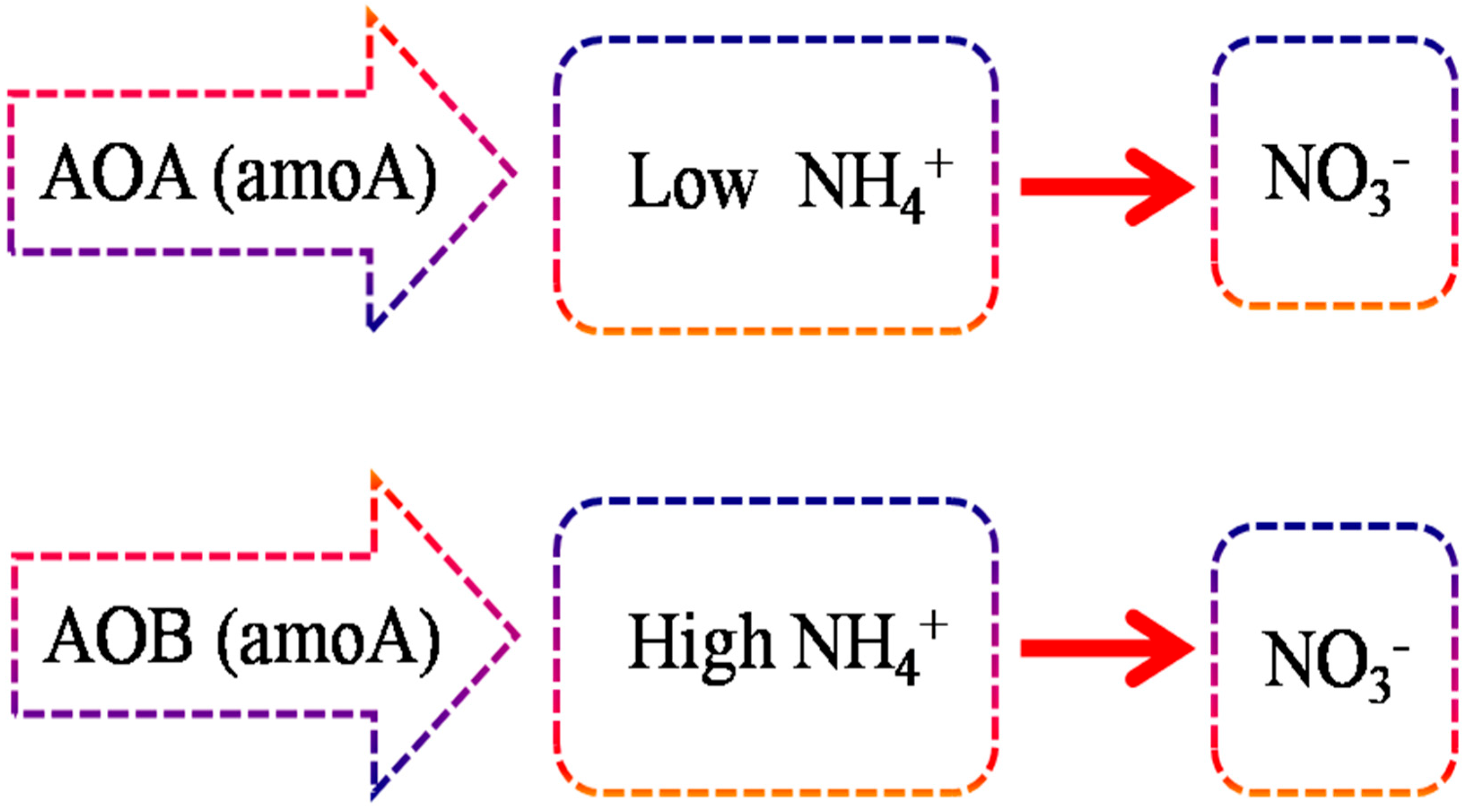 Nitrogen 06 00004 g001