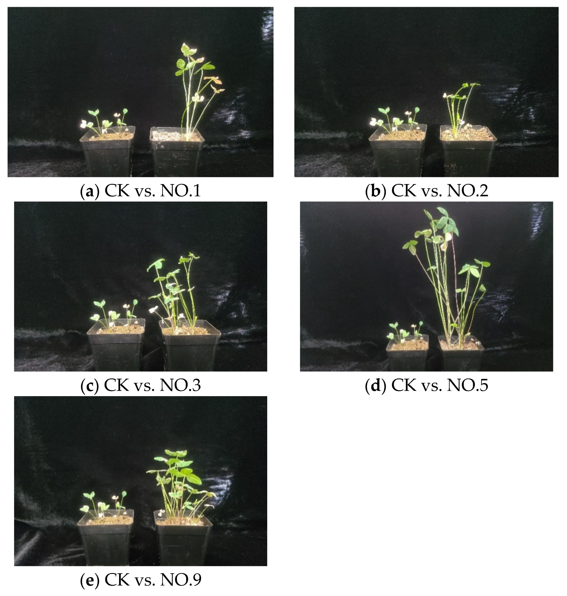 Nitrogen 06 00011 g001 Nitrogen 06 00011 g001