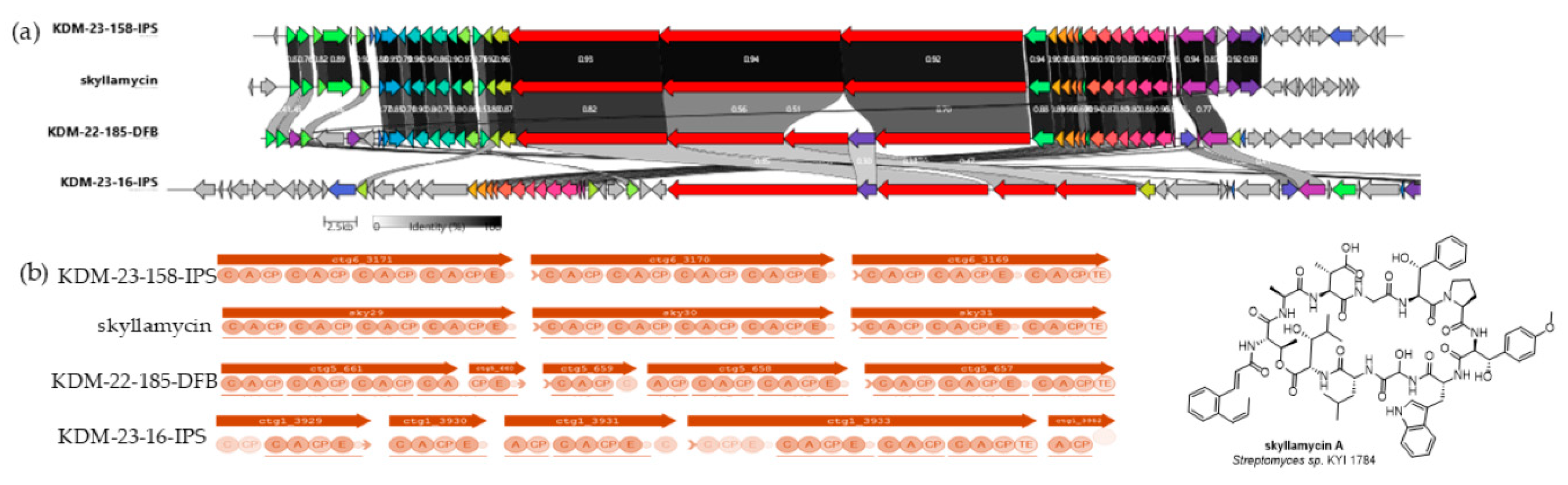 Nitrogen 06 00013 g004