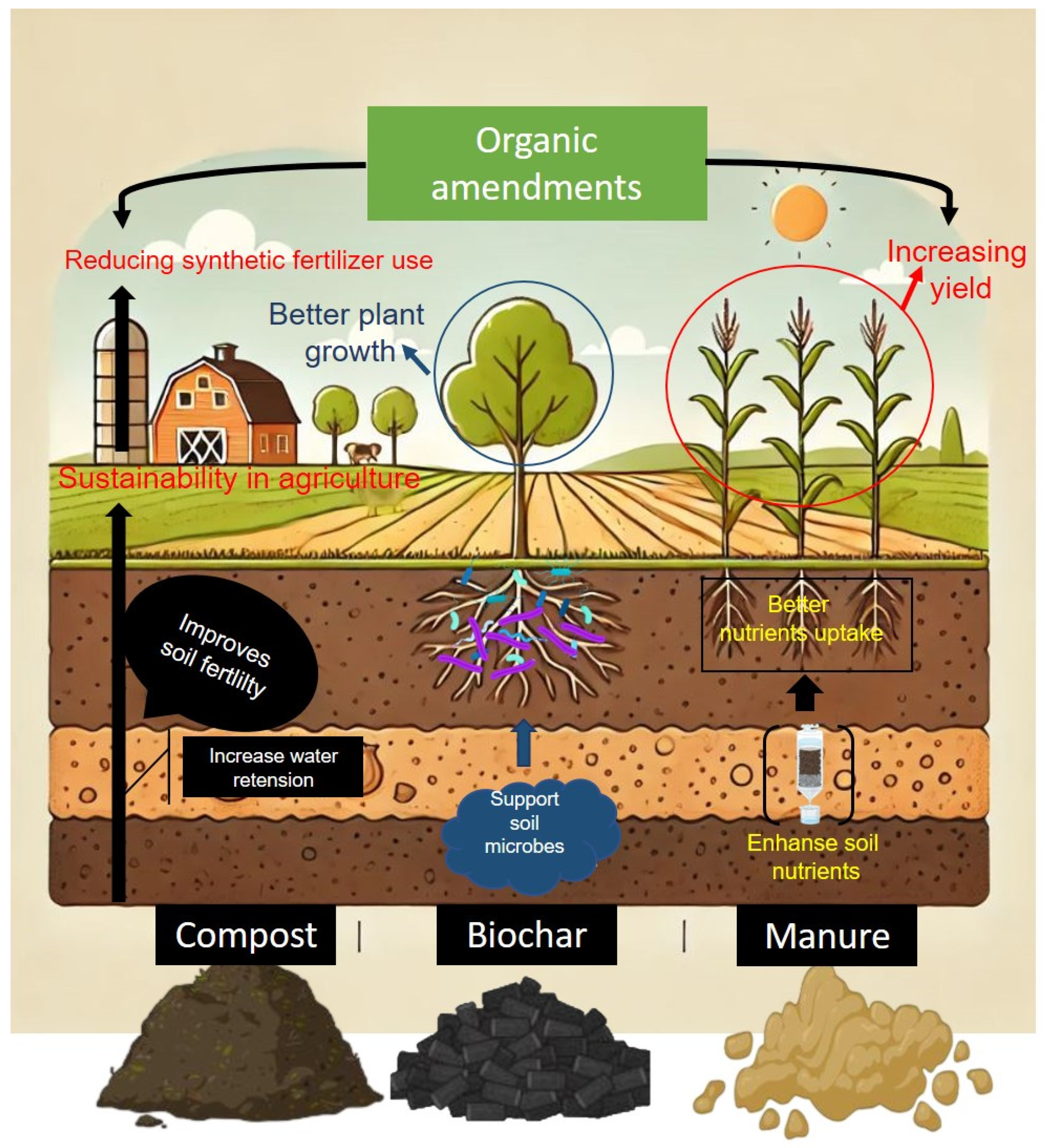 Nitrogen 06 00024 g003