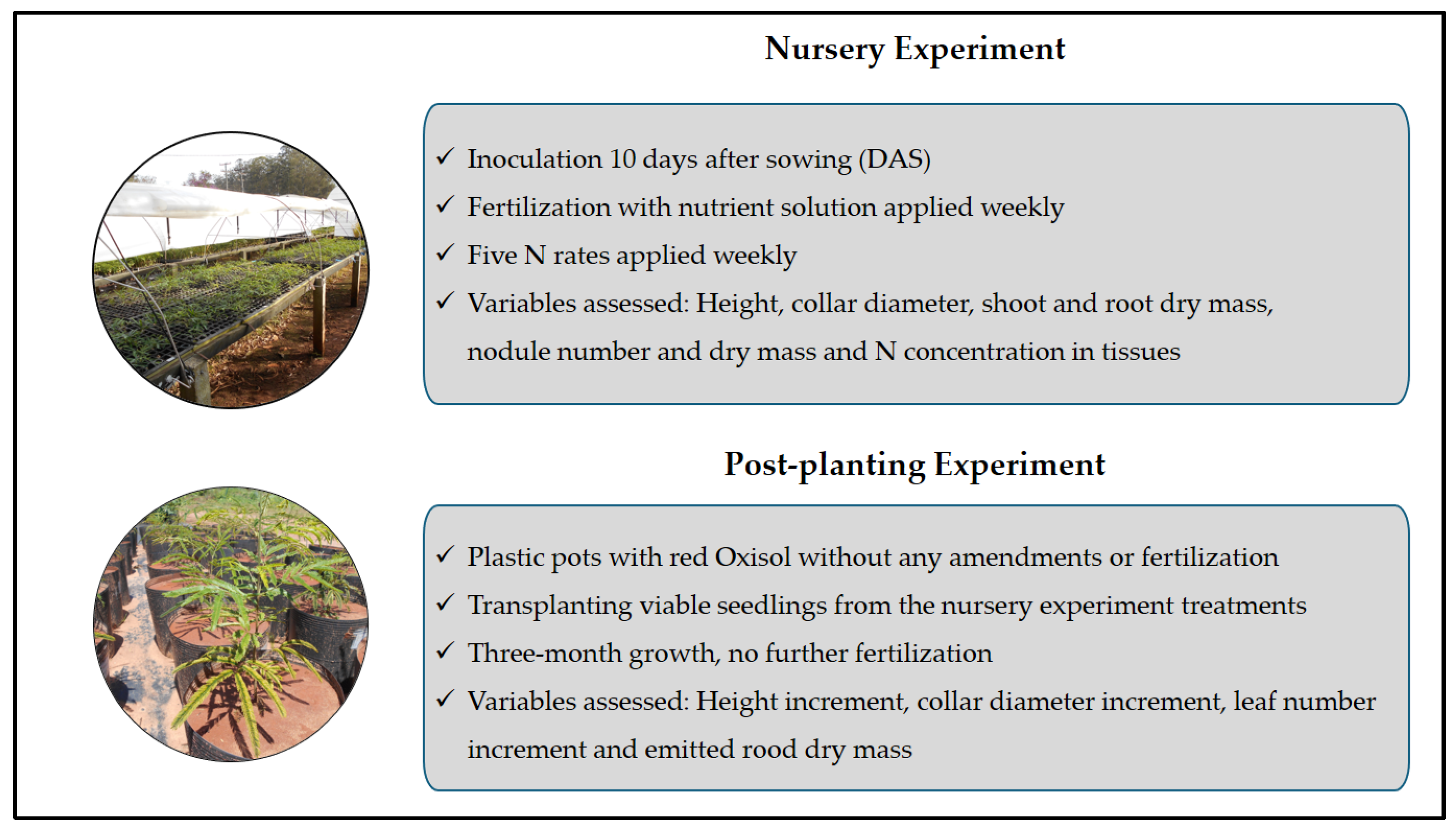 Nitrogen 06 00026 g001