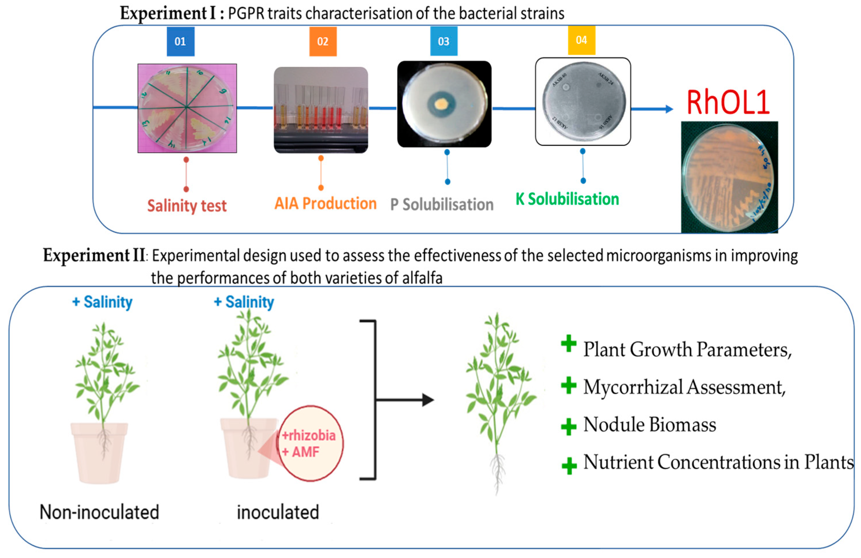 Nitrogen 06 00027 g001
