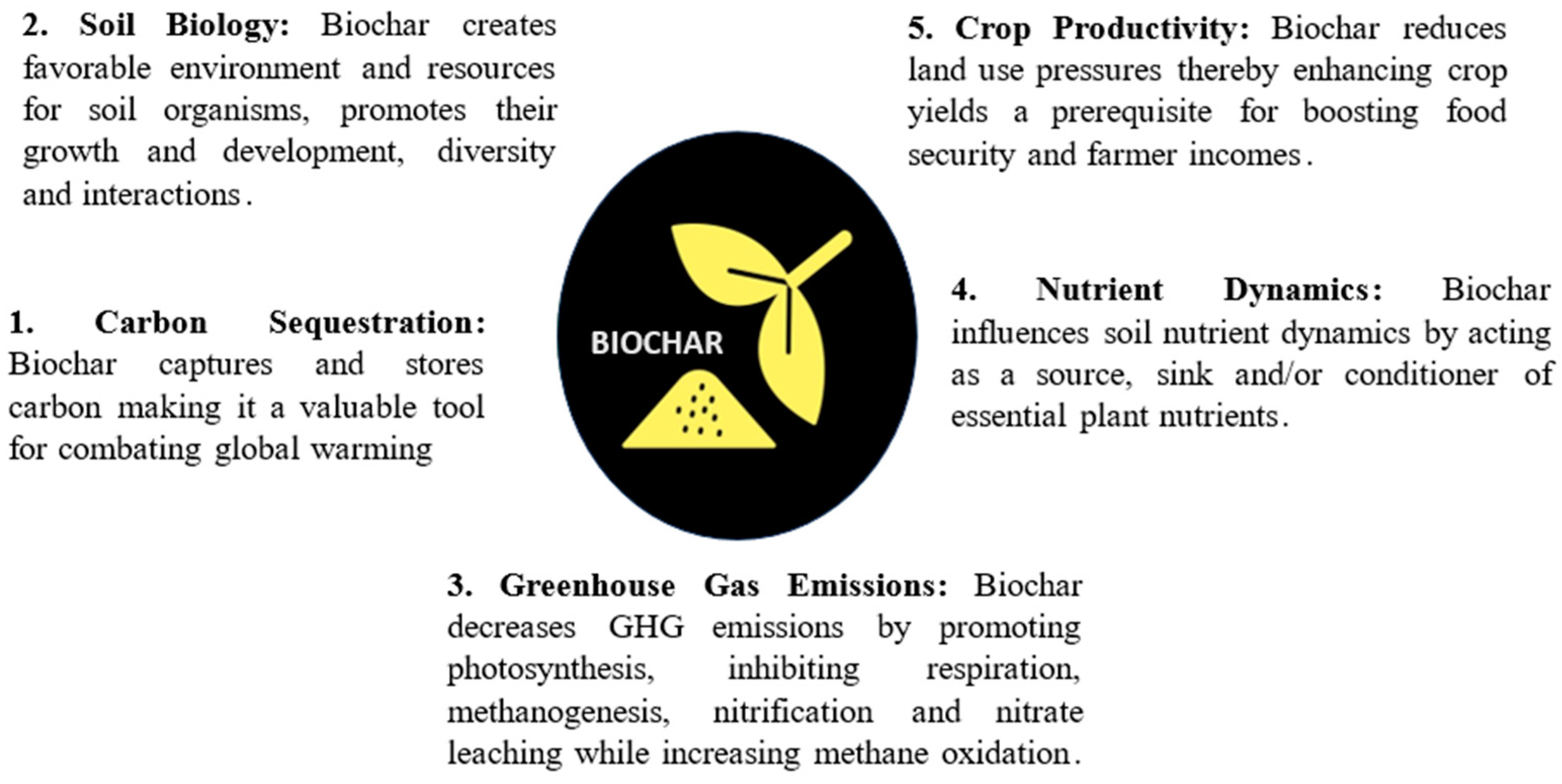 Nitrogen 06 00031 g003