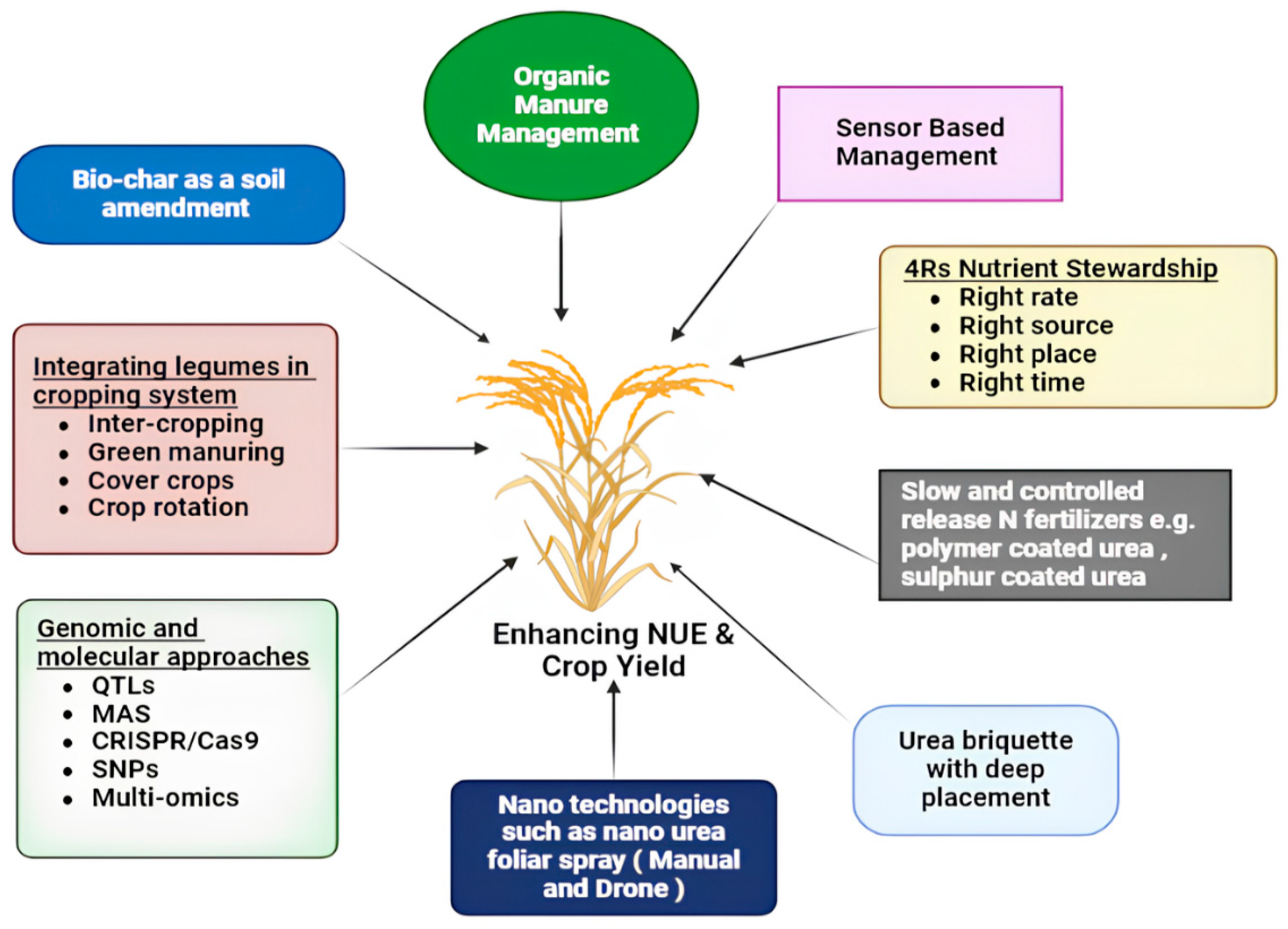 Nitrogen 06 00034 g001