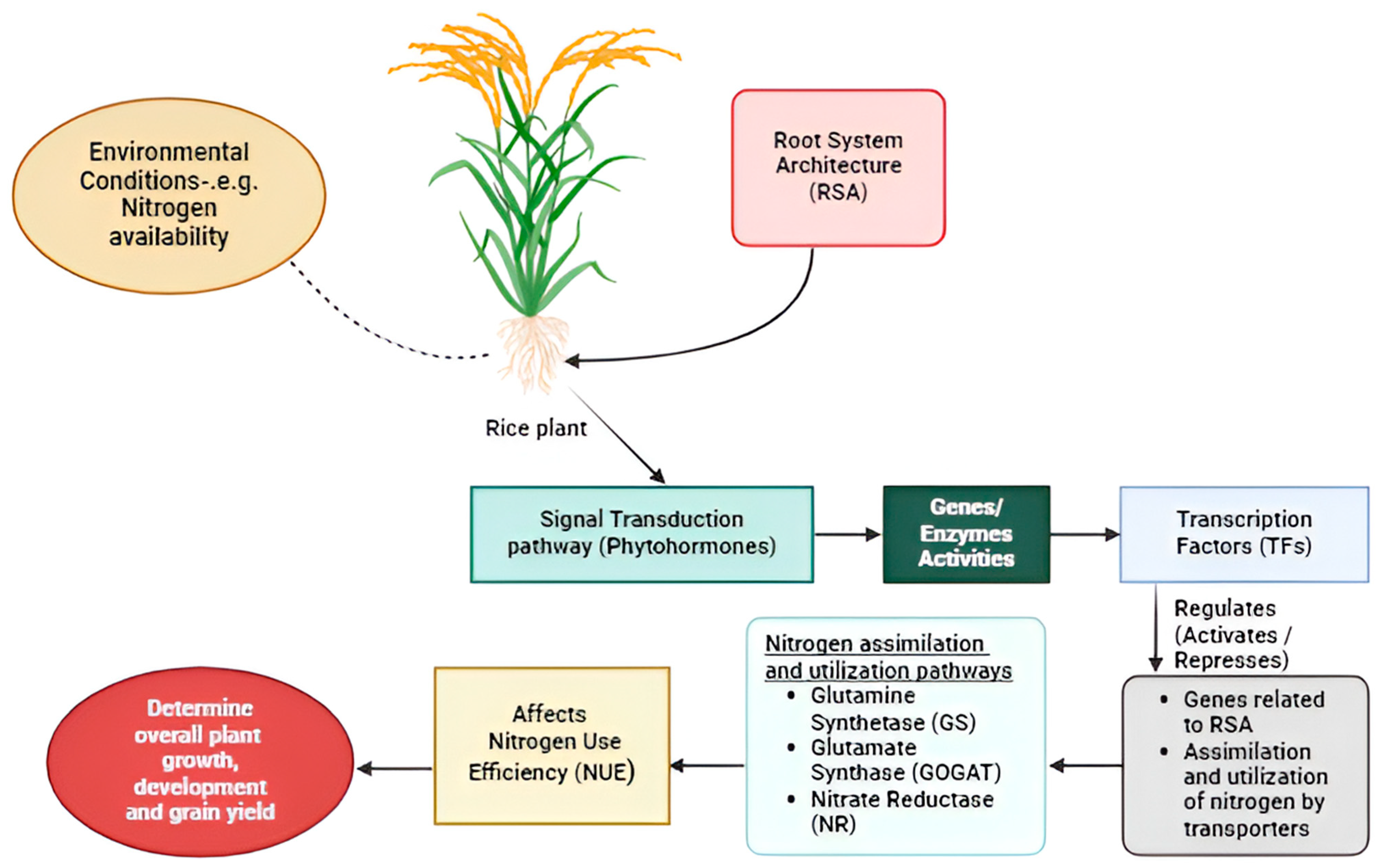 Nitrogen 06 00034 g002