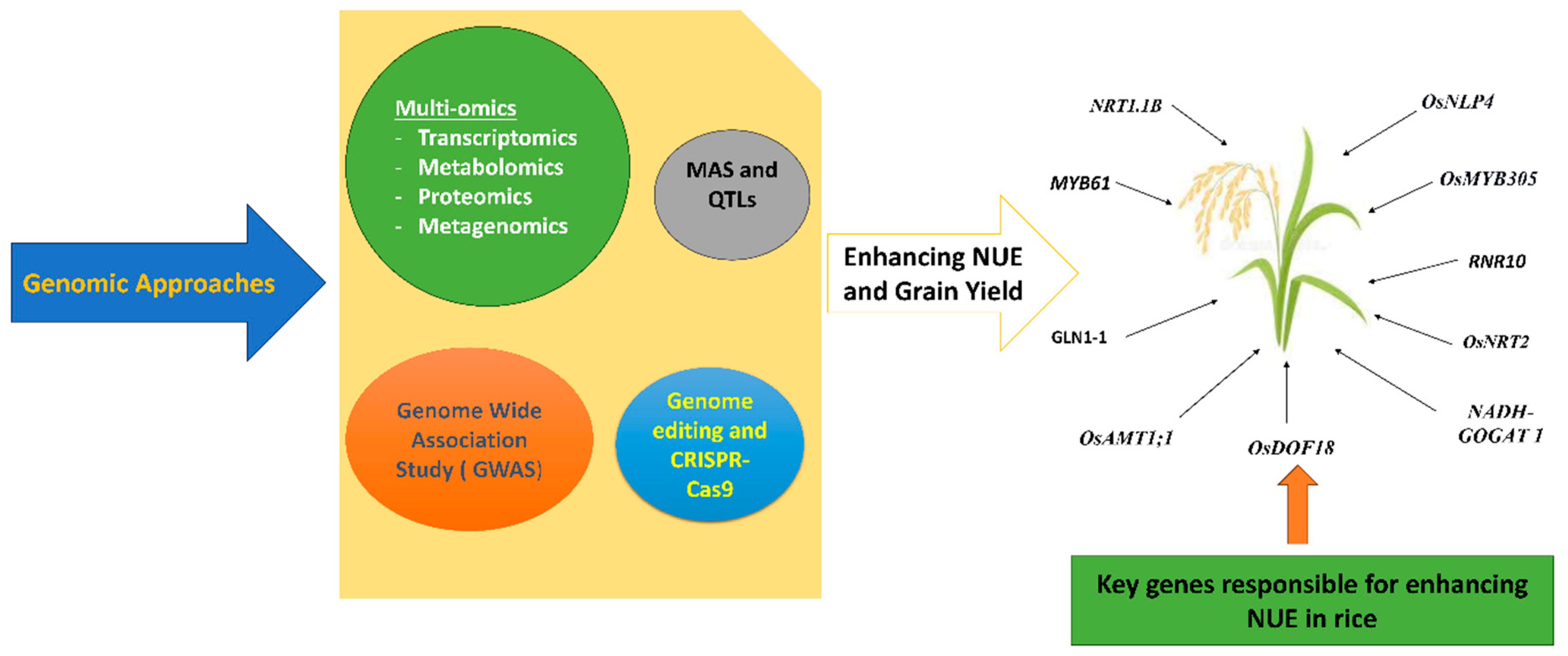 Nitrogen 06 00034 g003