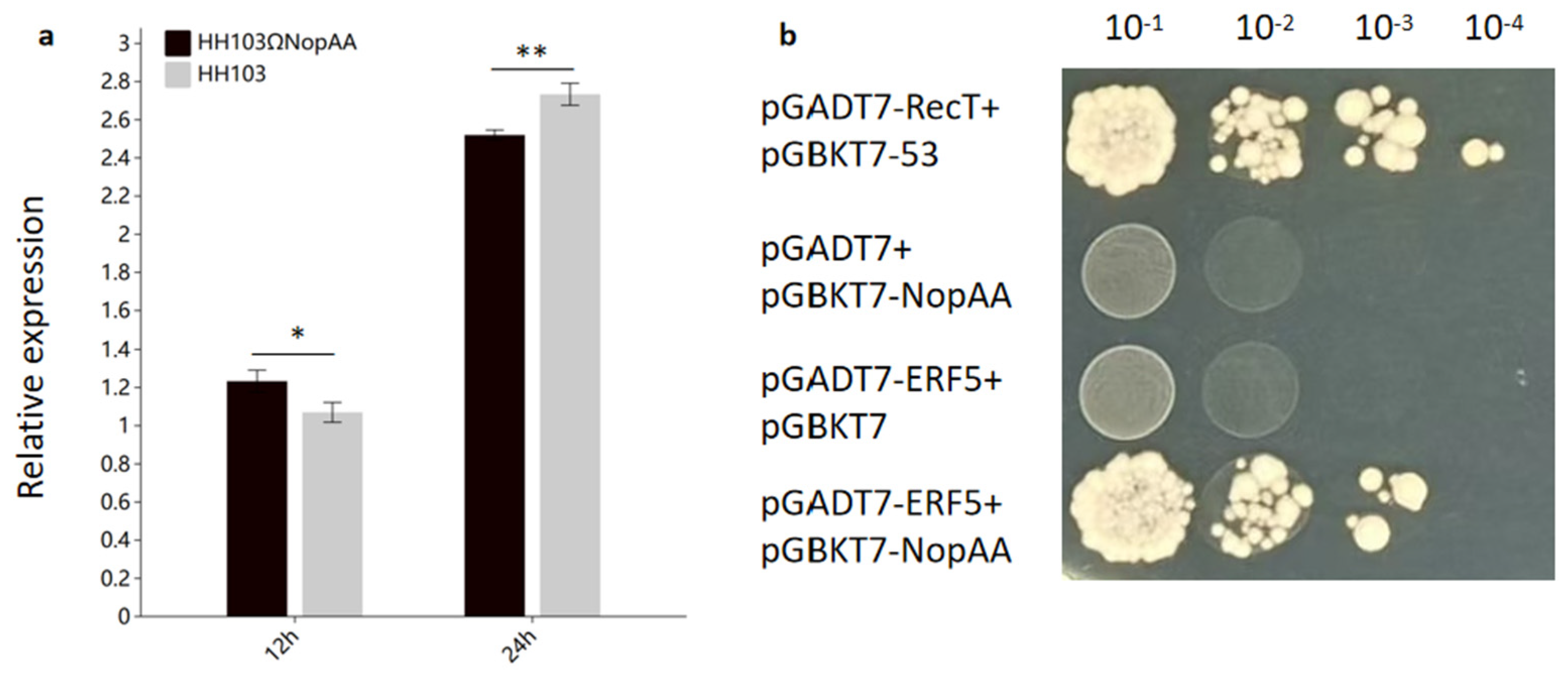 Nitrogen 06 00038 g004