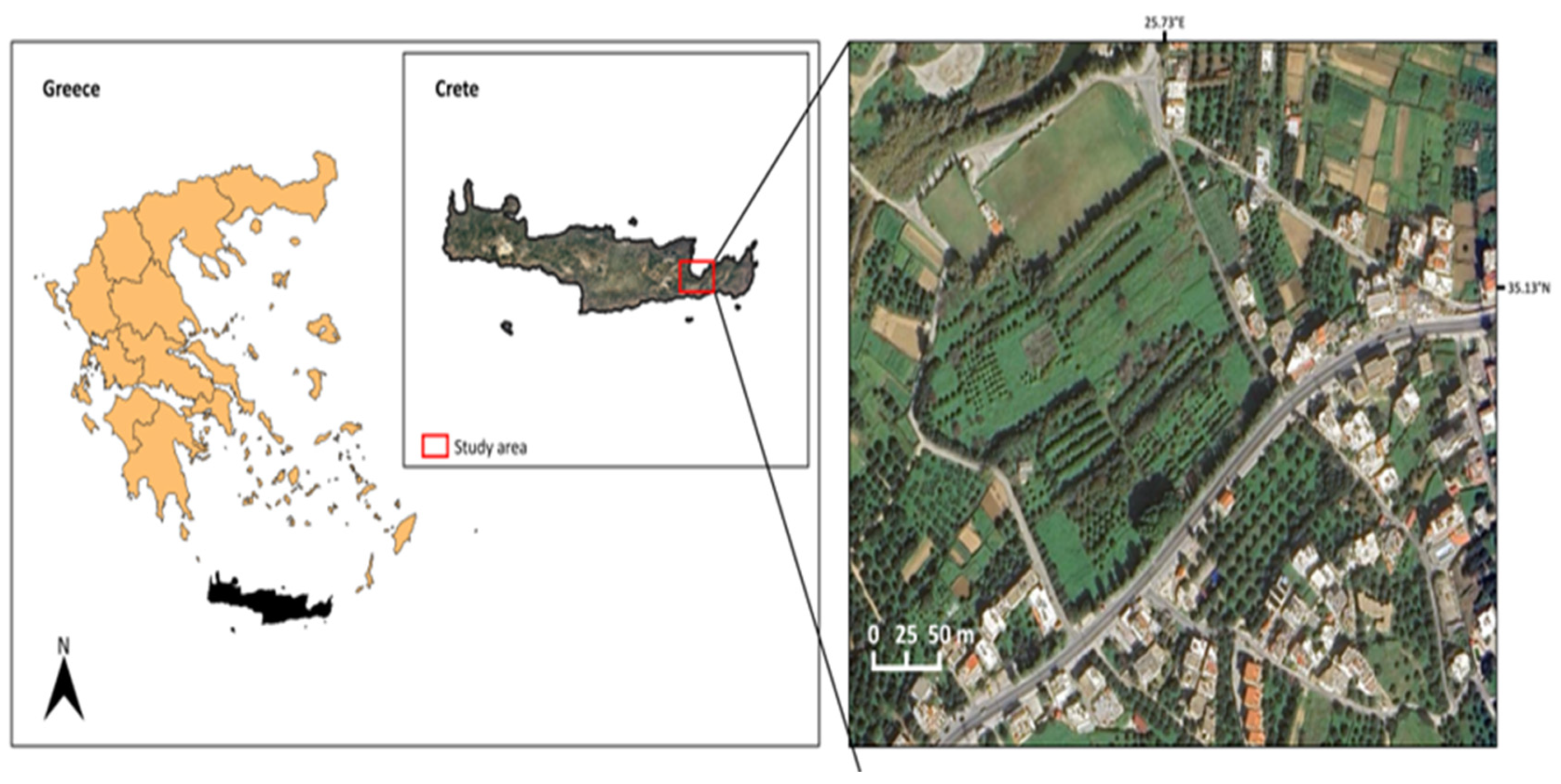 Nitrogen 06 00058 g001