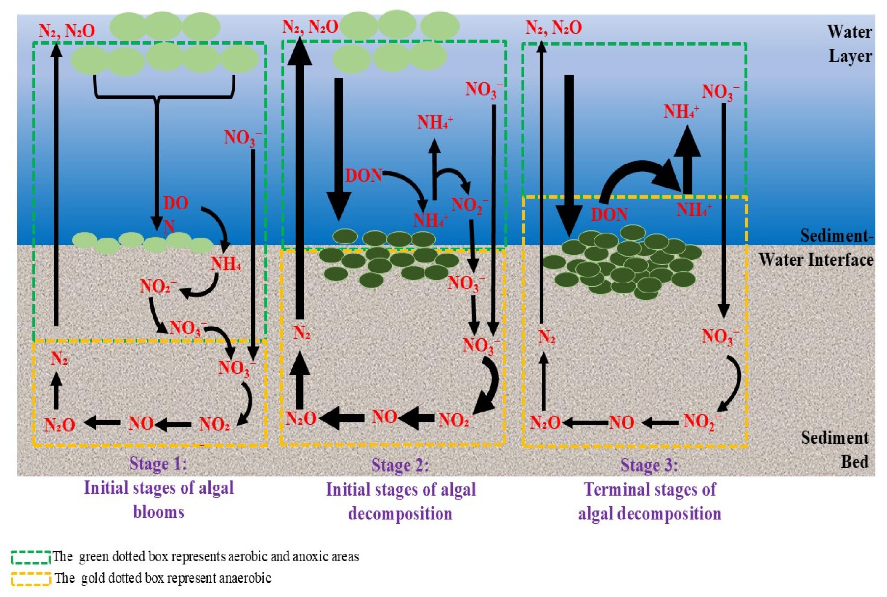 Nitrogen 06 00092 g007