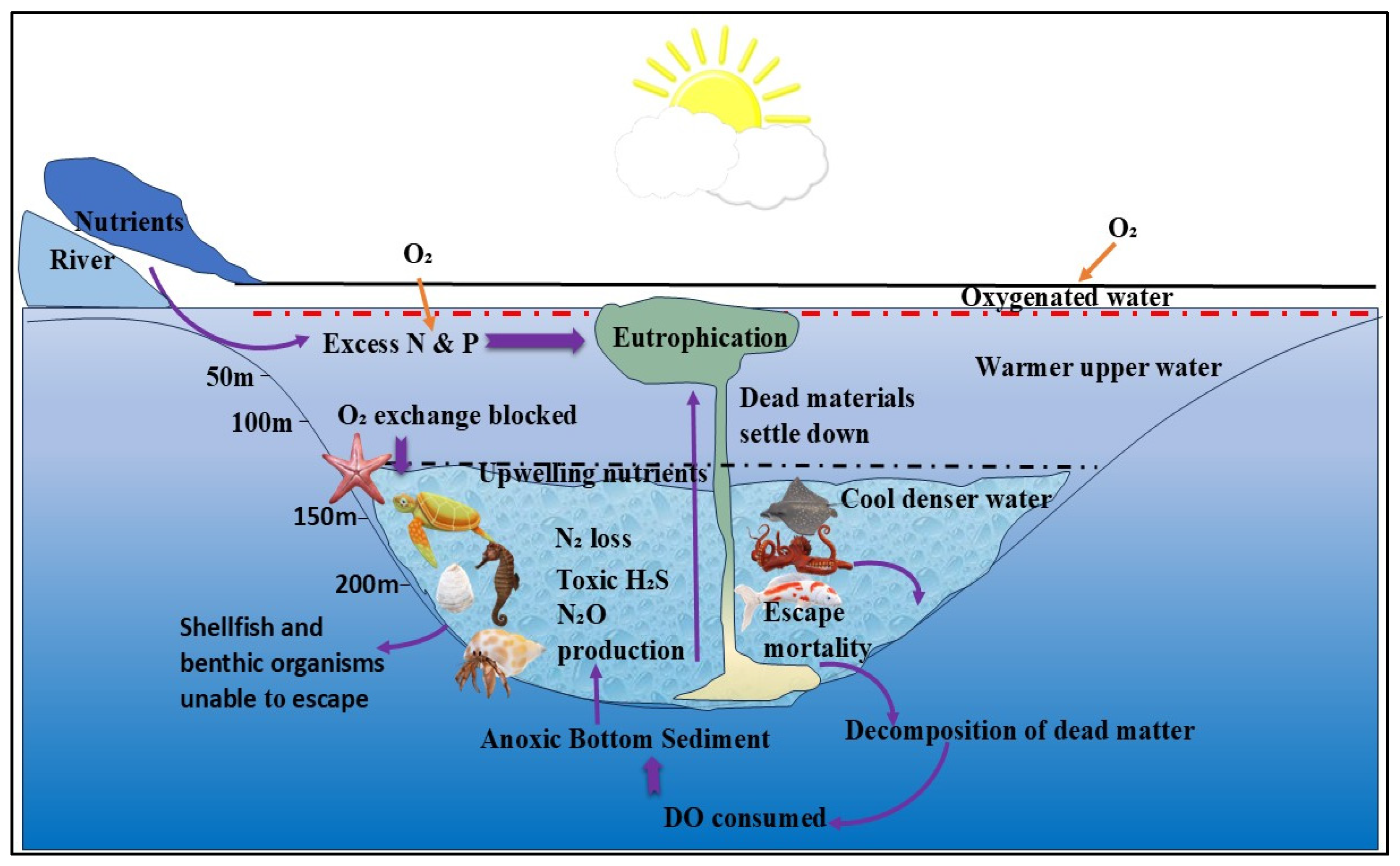Nitrogen 06 00092 g008