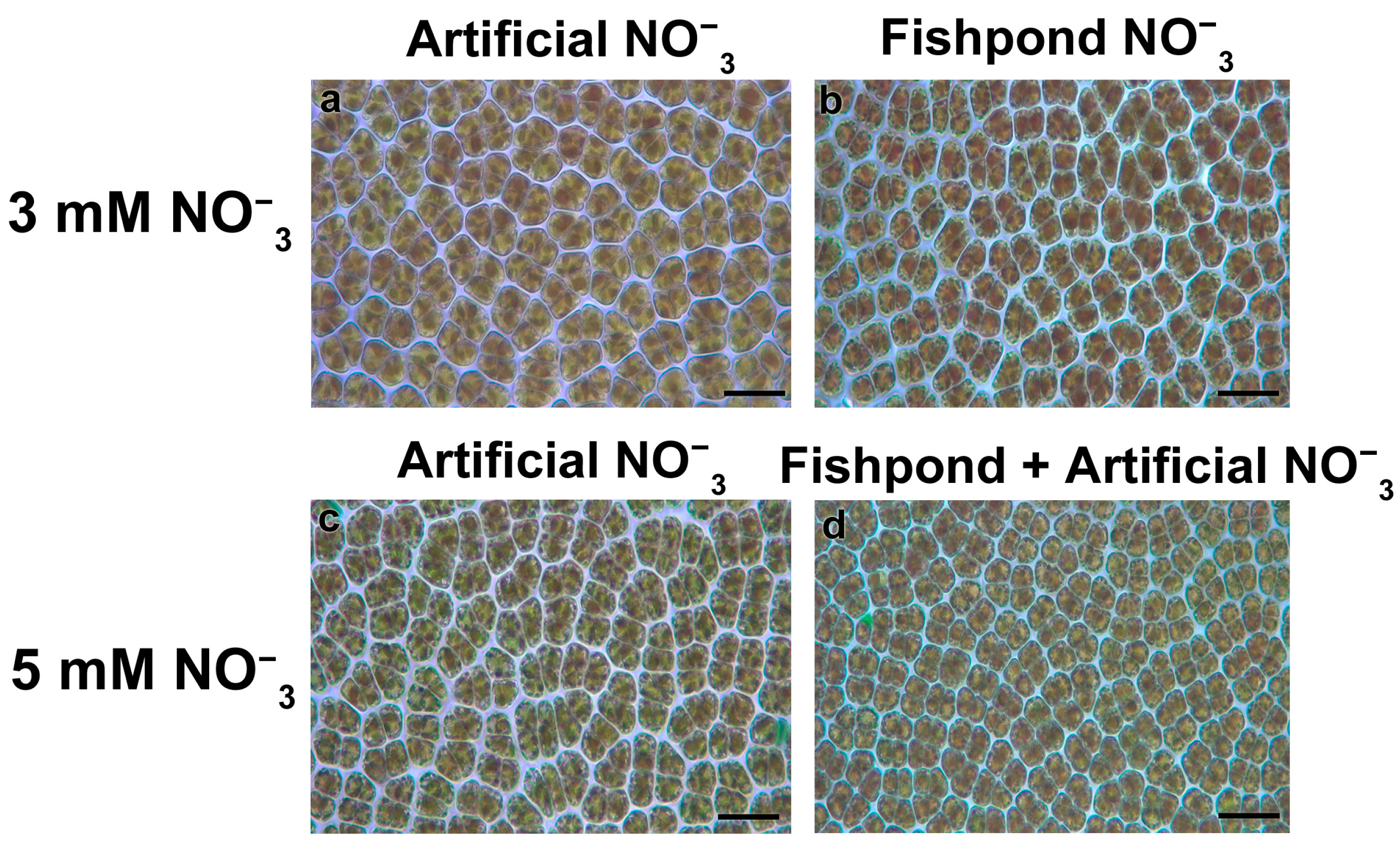 Nitrogen 06 00108 g001 Nitrogen 06 00108 g001