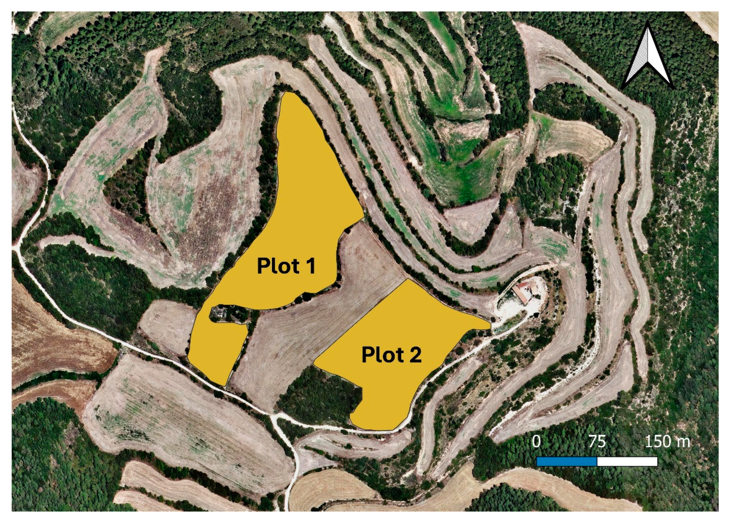 Nitrogen 06 00118 g001