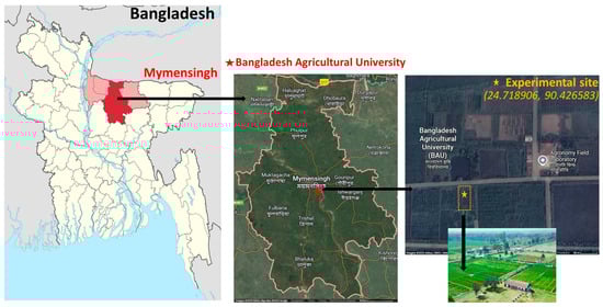 Location map of the study area.