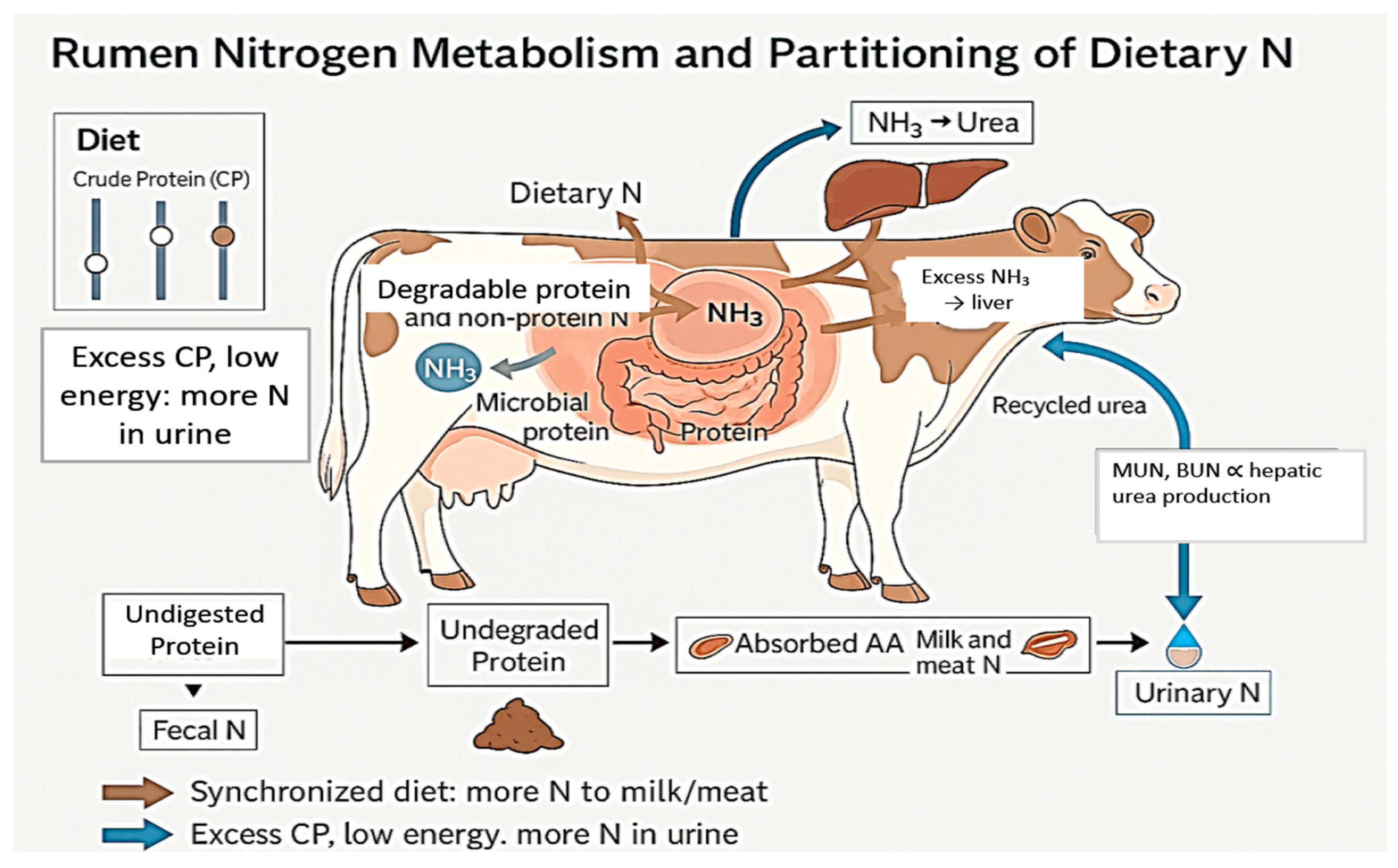 Nitrogen 07 00013 g003 Nitrogen 07 00013 g003