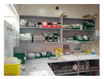 Nursrep 12 00043 i002